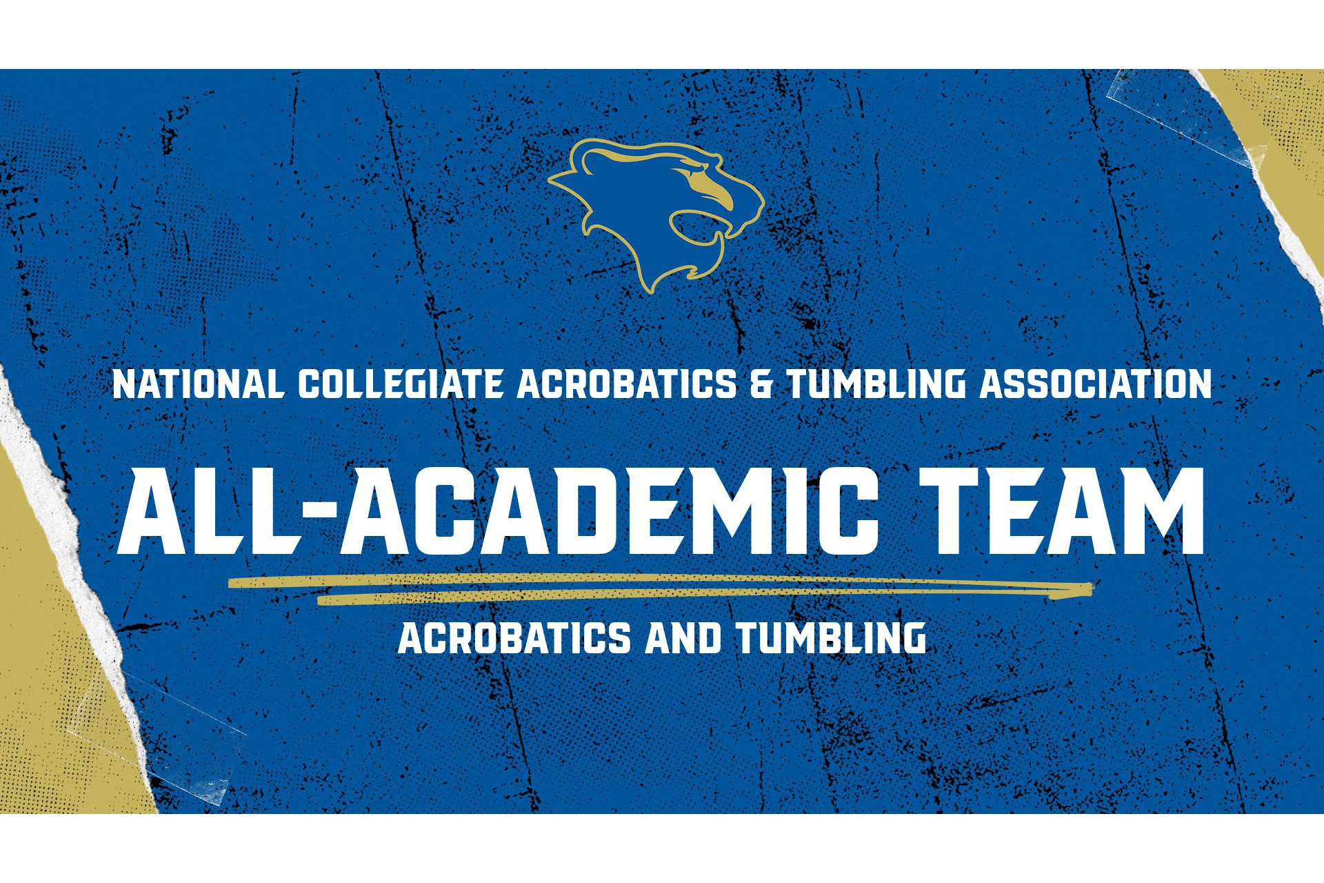 ACRO Academic Team