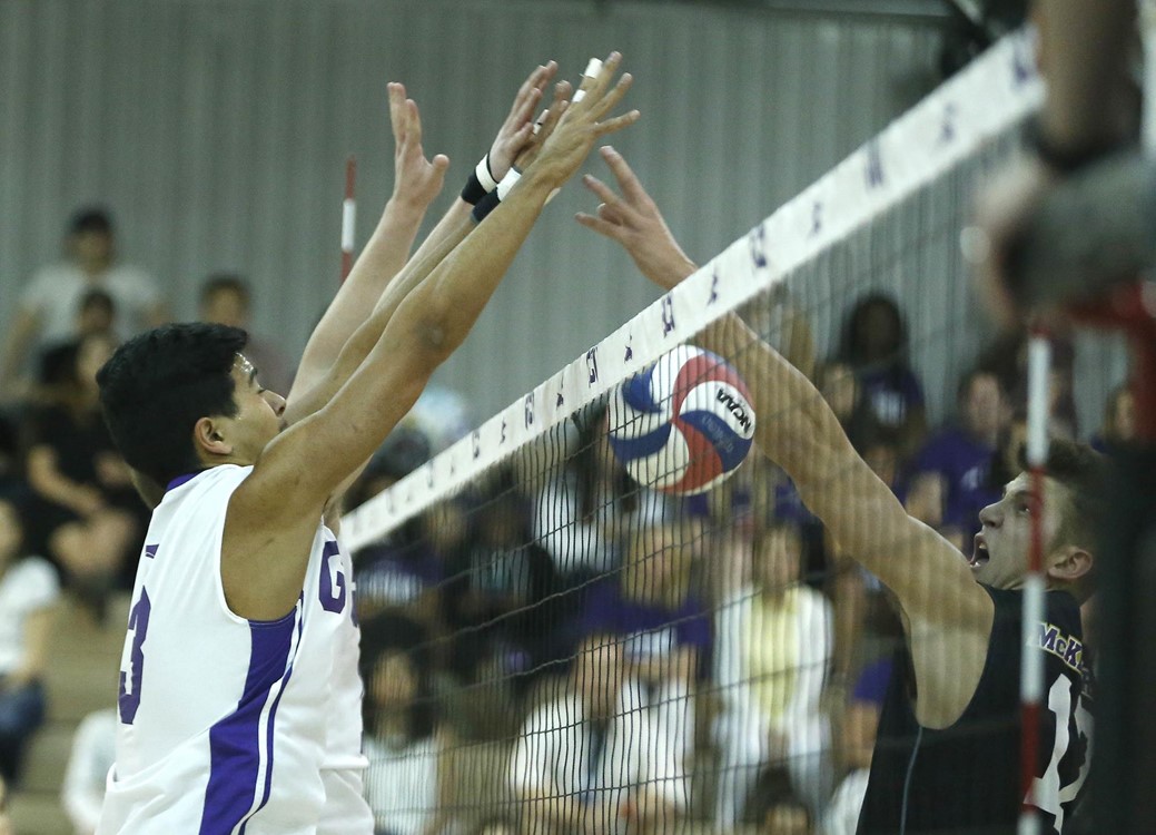 Puna Kaniho Men's Volleyball Grand Canyon University Athletics