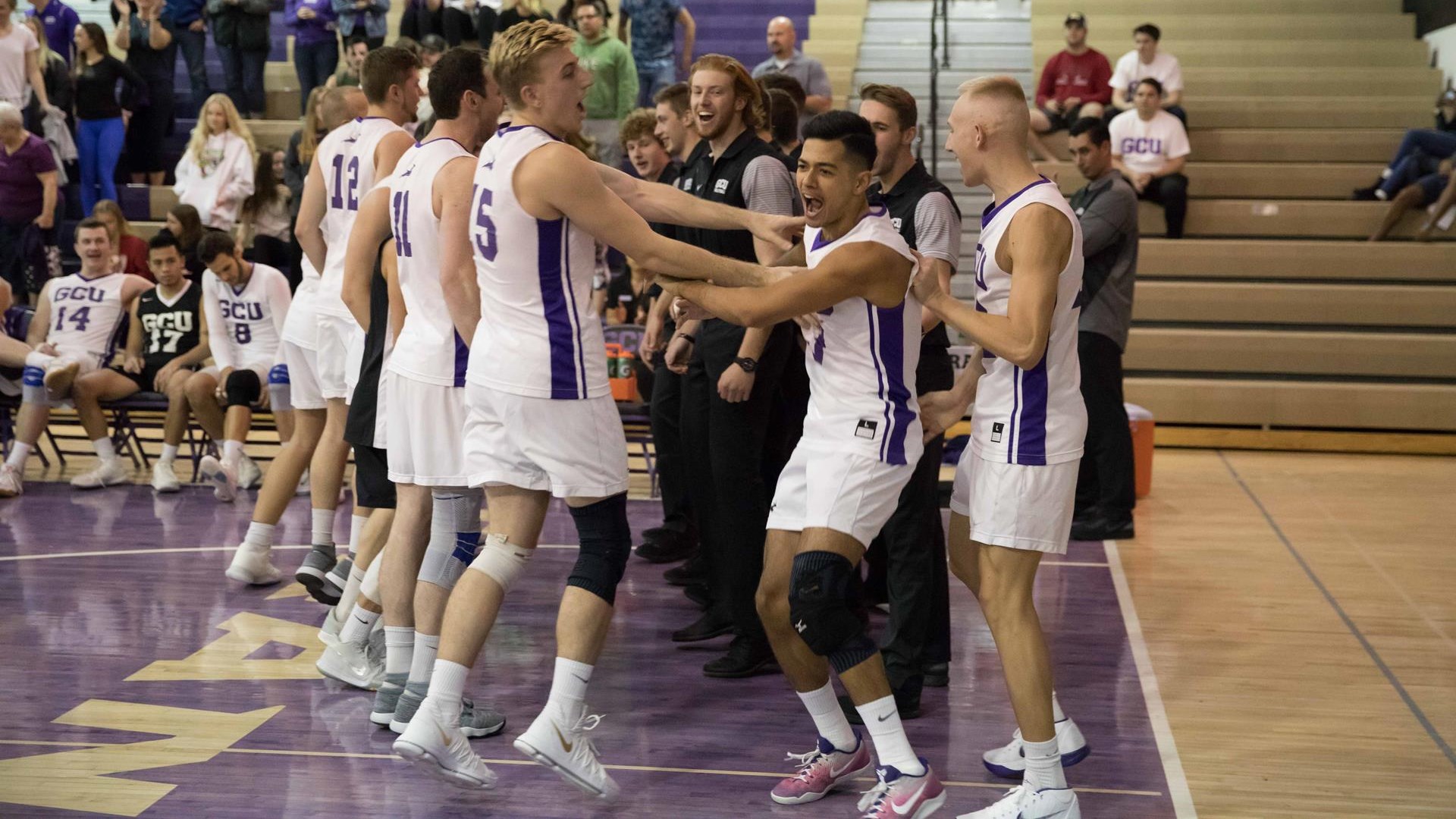 Puna Kaniho Men's Volleyball Grand Canyon University Athletics