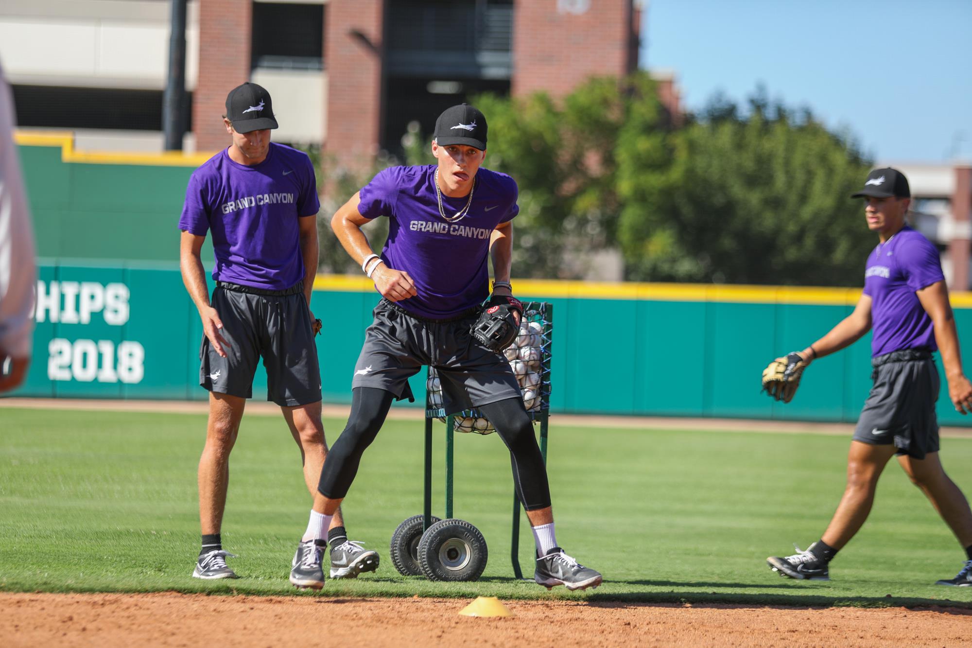 Jaxson Wall Baseball Grand Canyon University Athletics