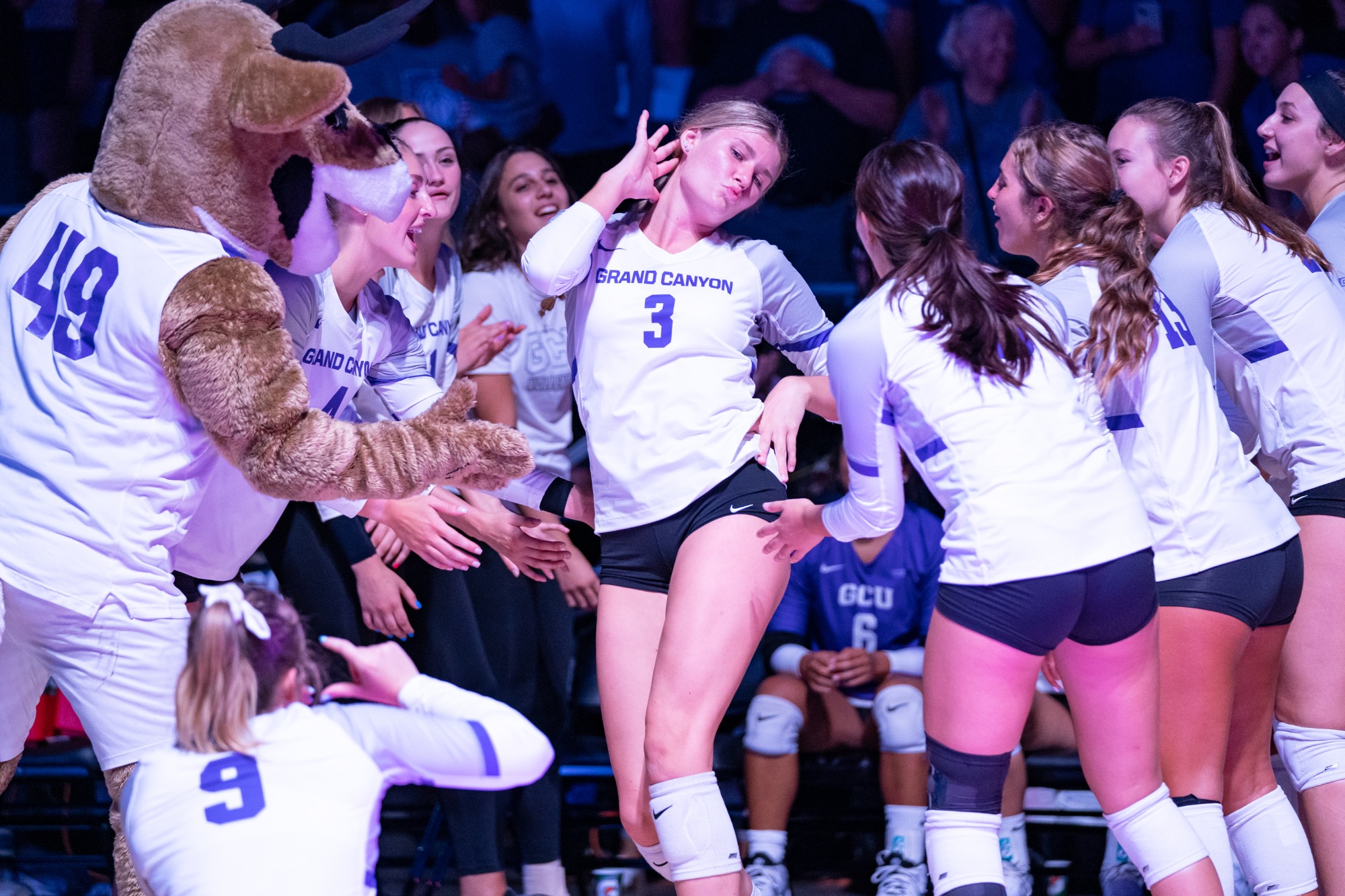 Tatum Parrott Women's Volleyball Grand Canyon University Athletics