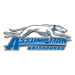 Opponent Logo