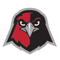 Opponent Logo