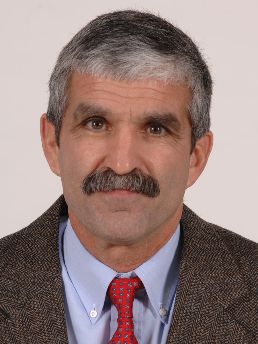 Rolf Piranian