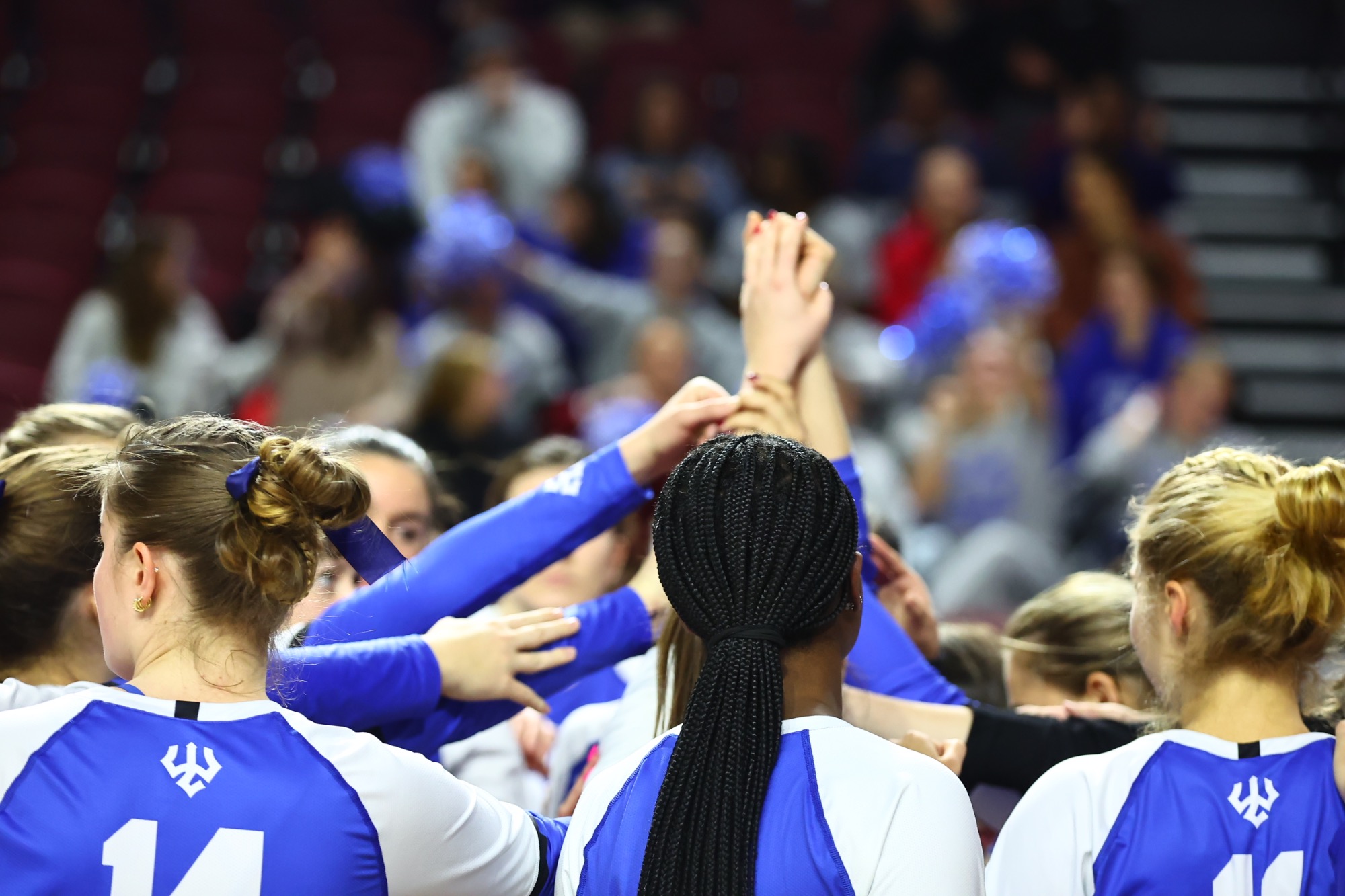 The 11th-ranked Washington and Lee University women's volleyball team concluded their historic 2024 campaign on Wednesday night in the NCAA Quarterfinals at the Cregger Center in Salem, Va.