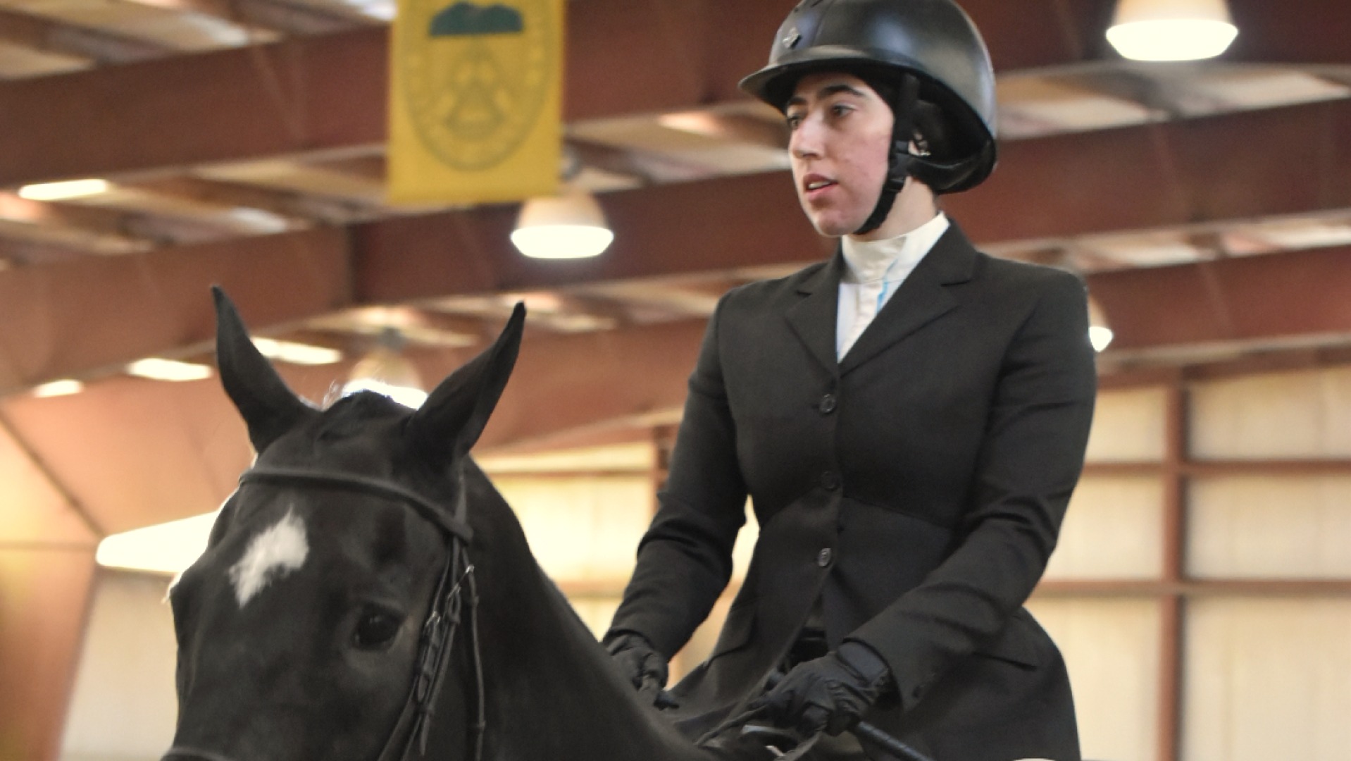 Irene Tsengas - Hollins 2025