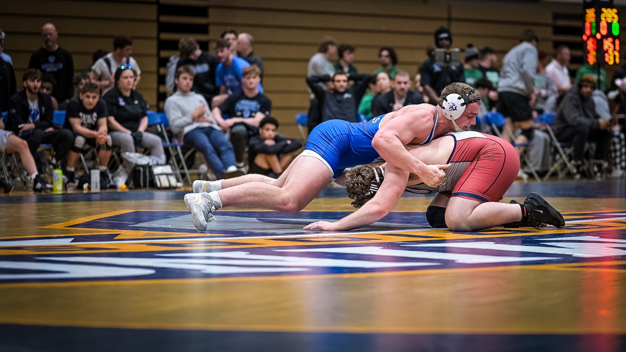 Carter Stack - Whitehill Duals 2026