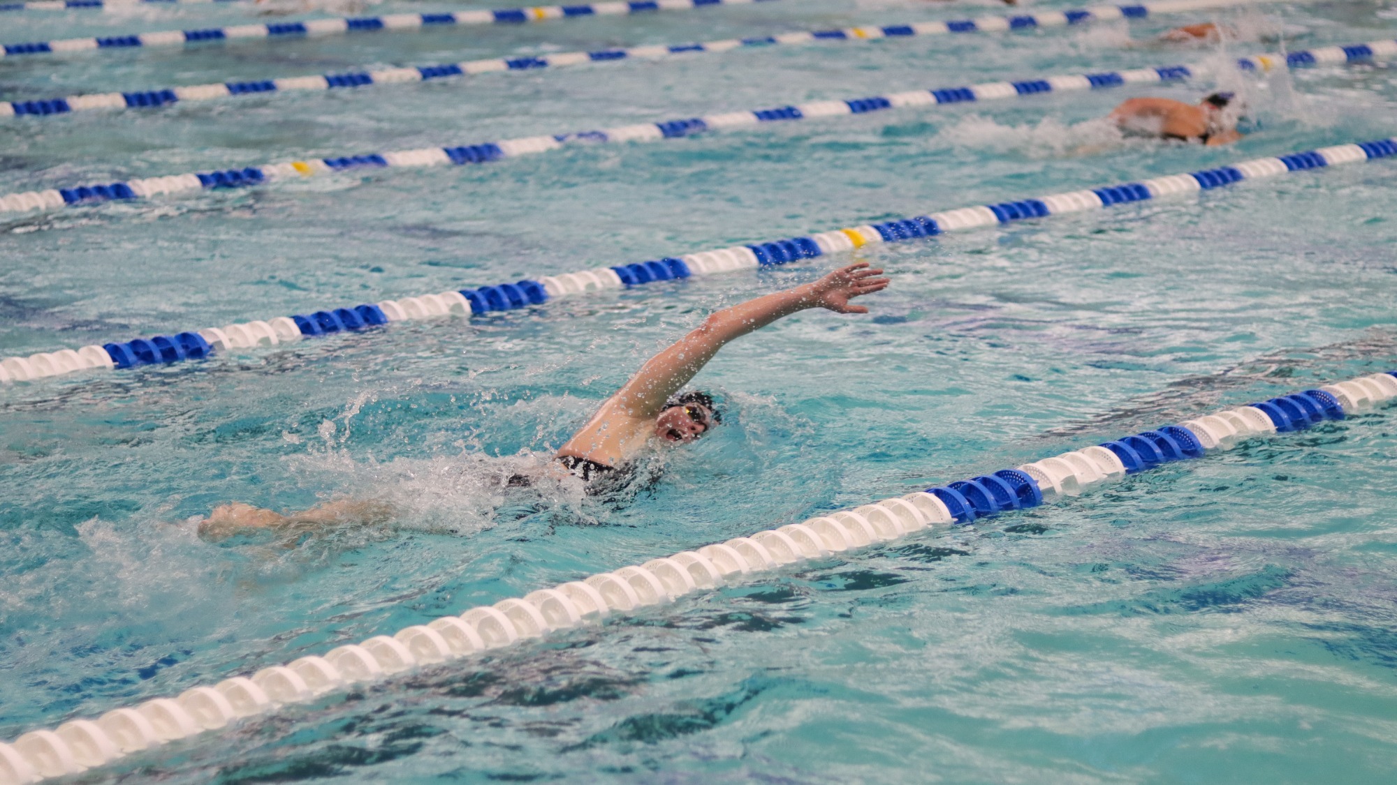 Women's Swimming Freestyle at 2025 RMC