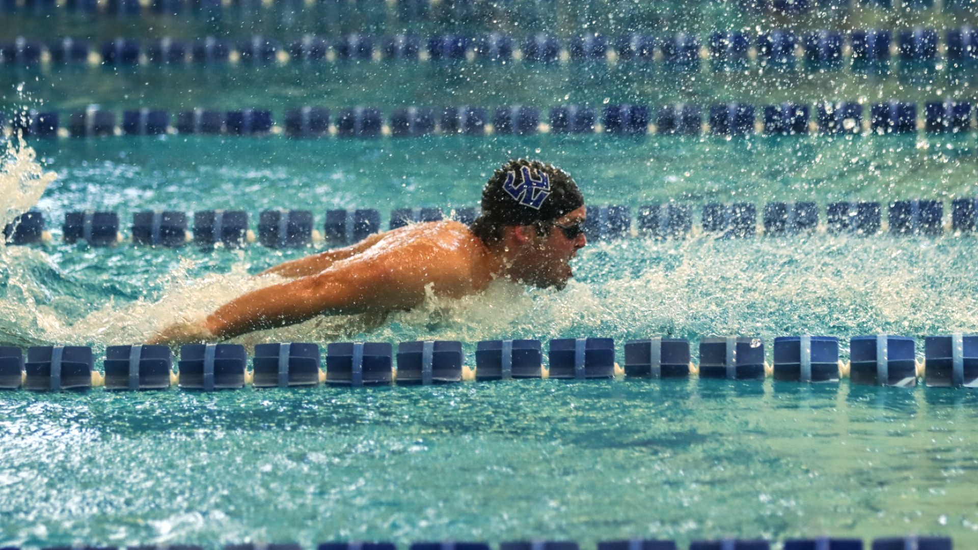 2026-27 MSWIM Butterfly
