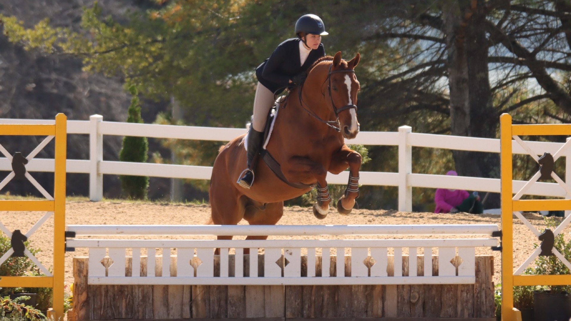 Eva Lunn - 2025 Fall ODAC Championships - Fences