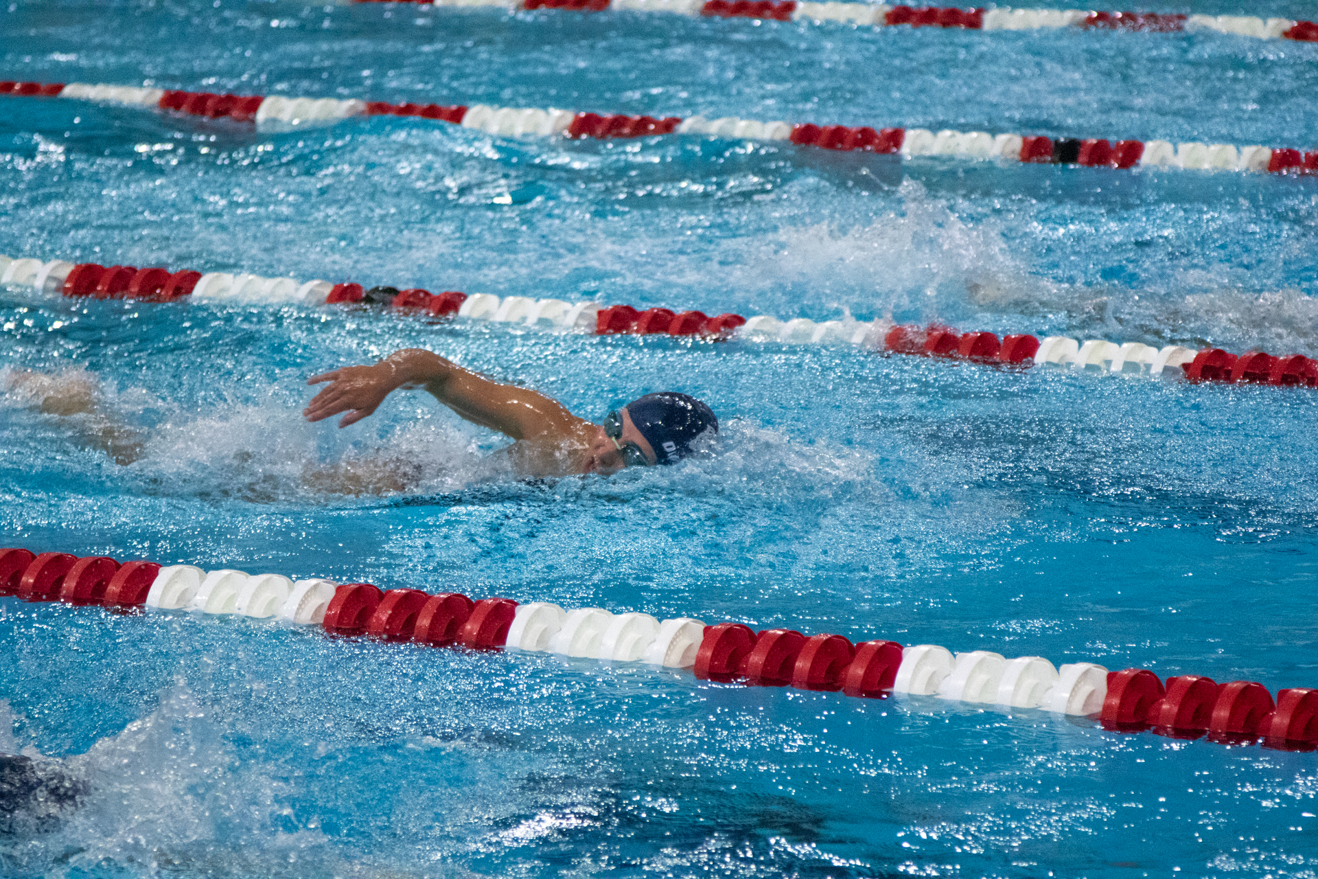 Swim and Dive Senior Day
