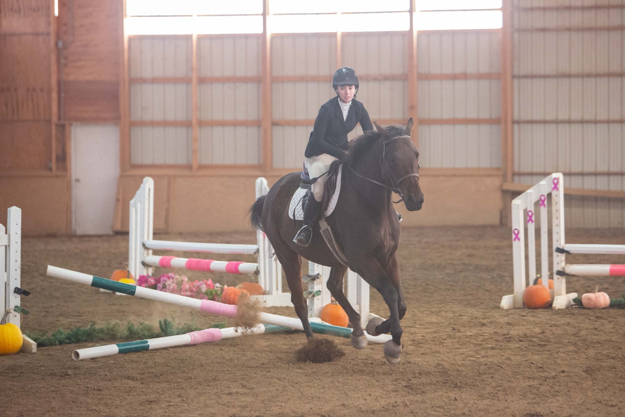 Equestrian action photo