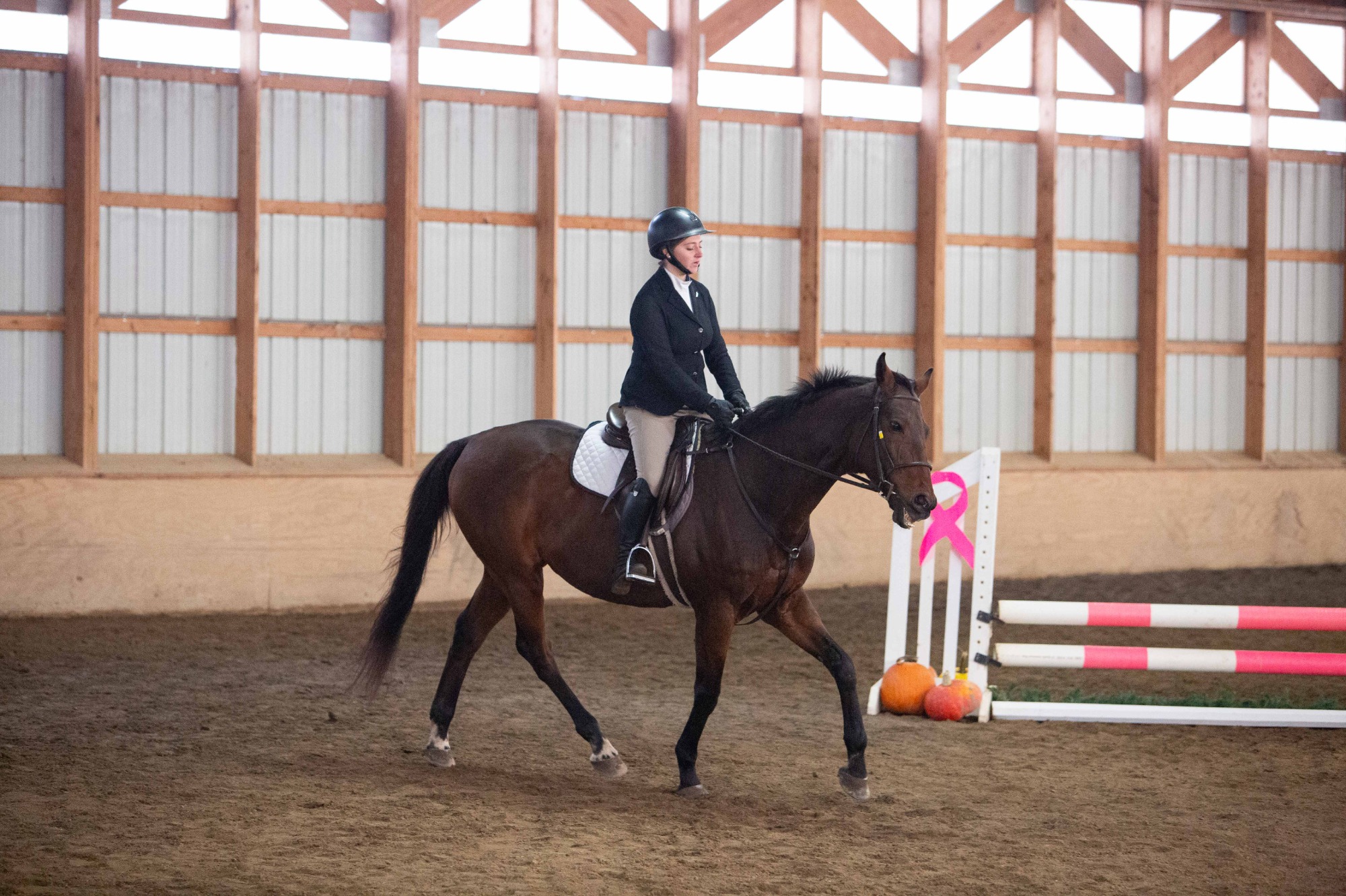10.25 Equestrian Home Show