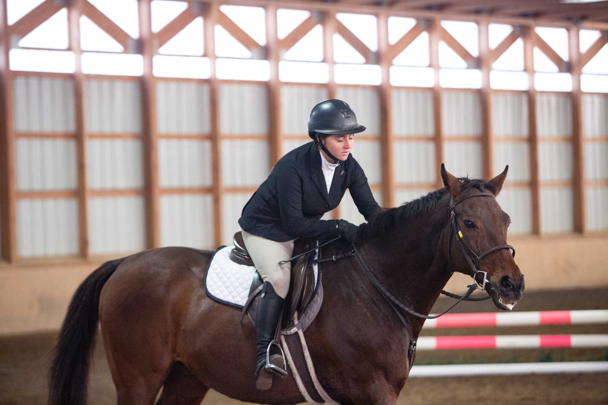 10.25 Equestrian Home Show