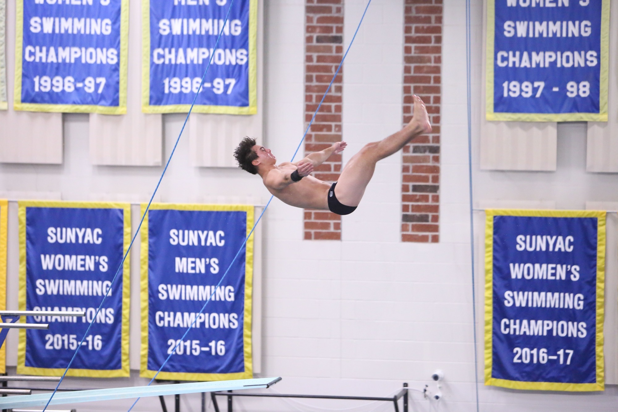 Greg Meder Diving