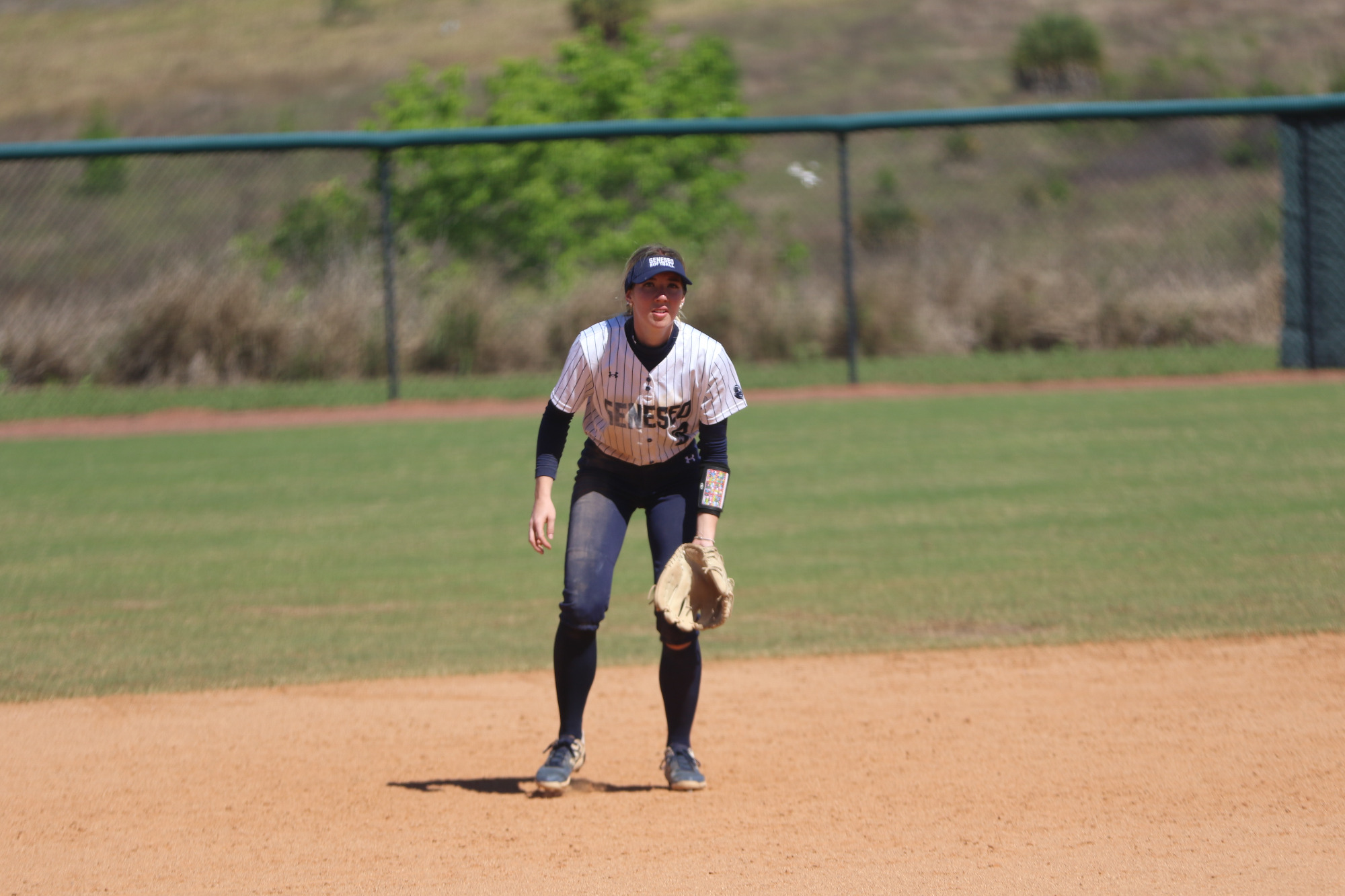 Softball vs Simpson & Springfield & UW LaCrosse