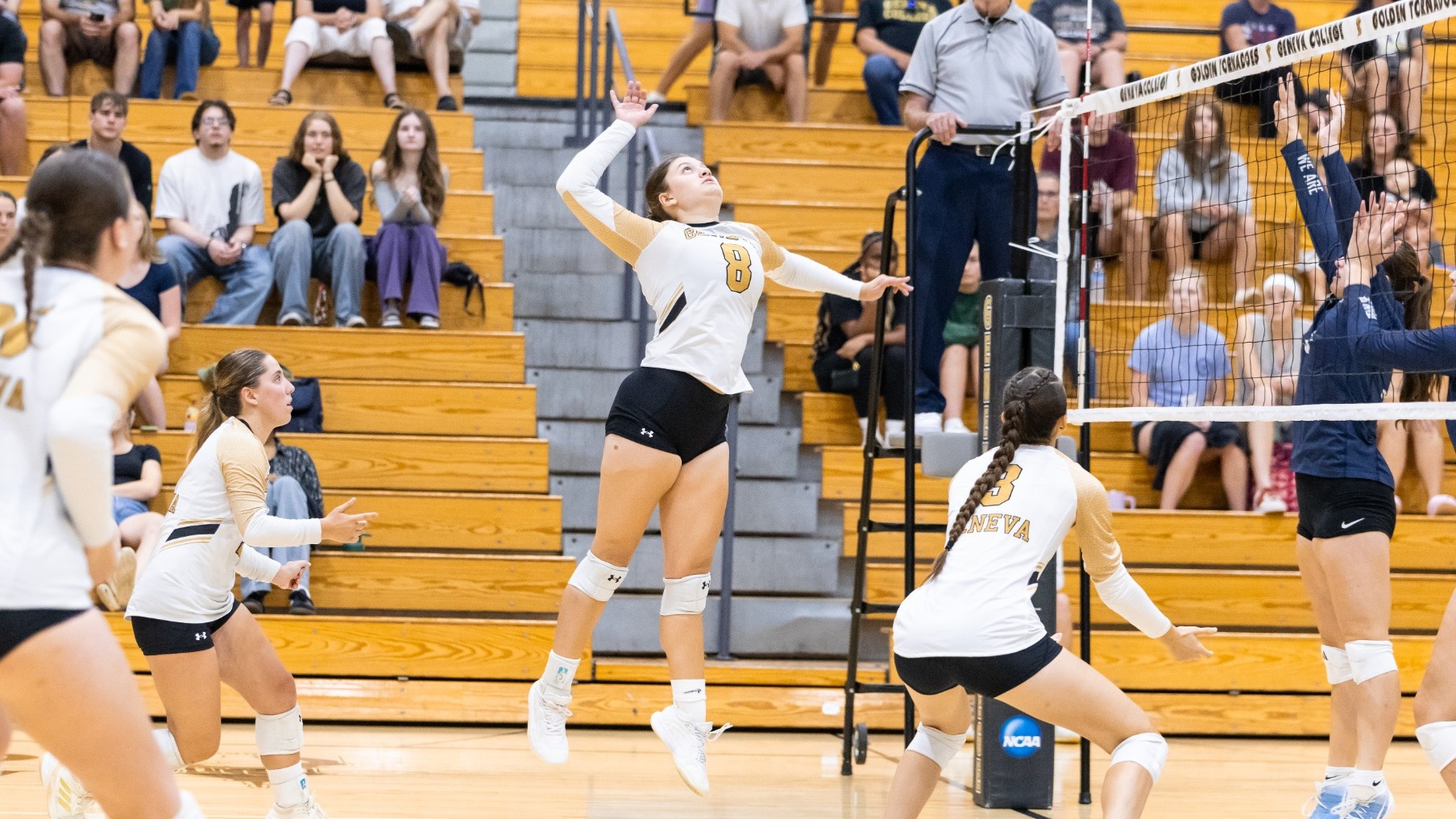 WVB