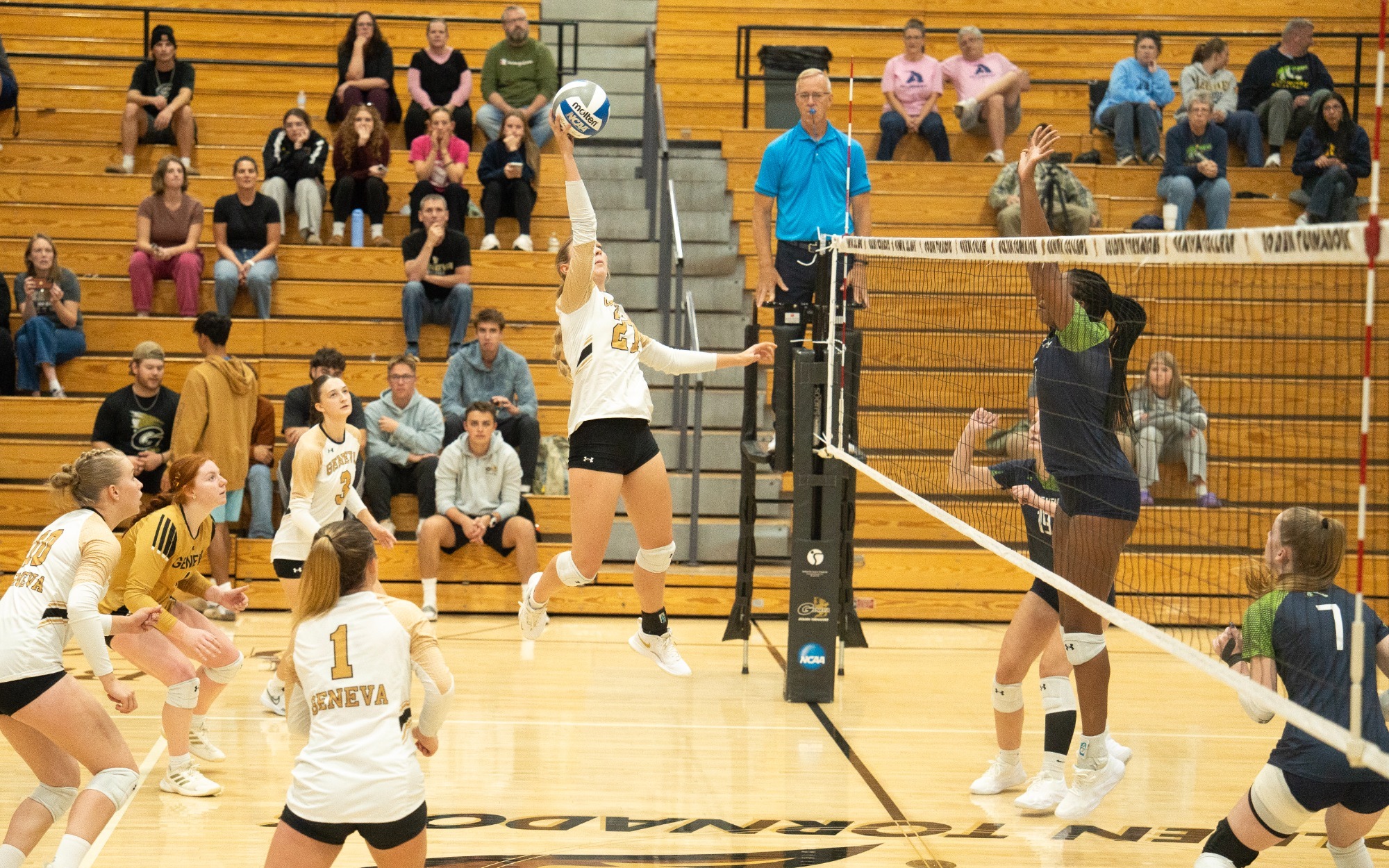 WVB