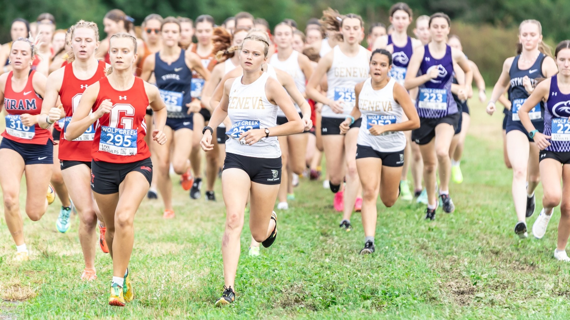 WXC