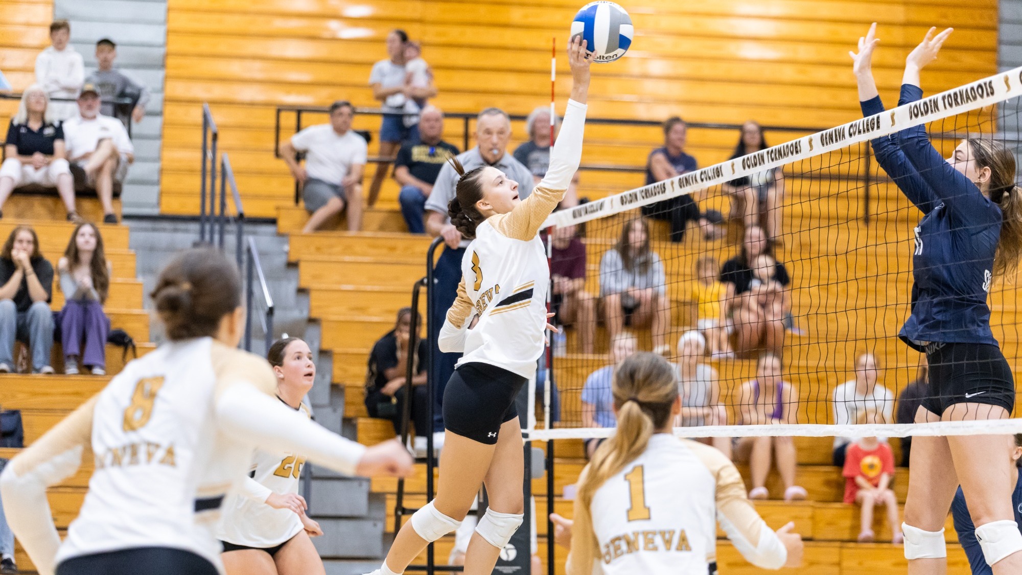 WVB