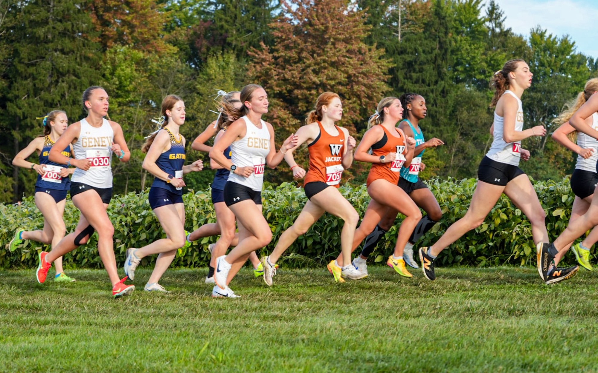 WXC