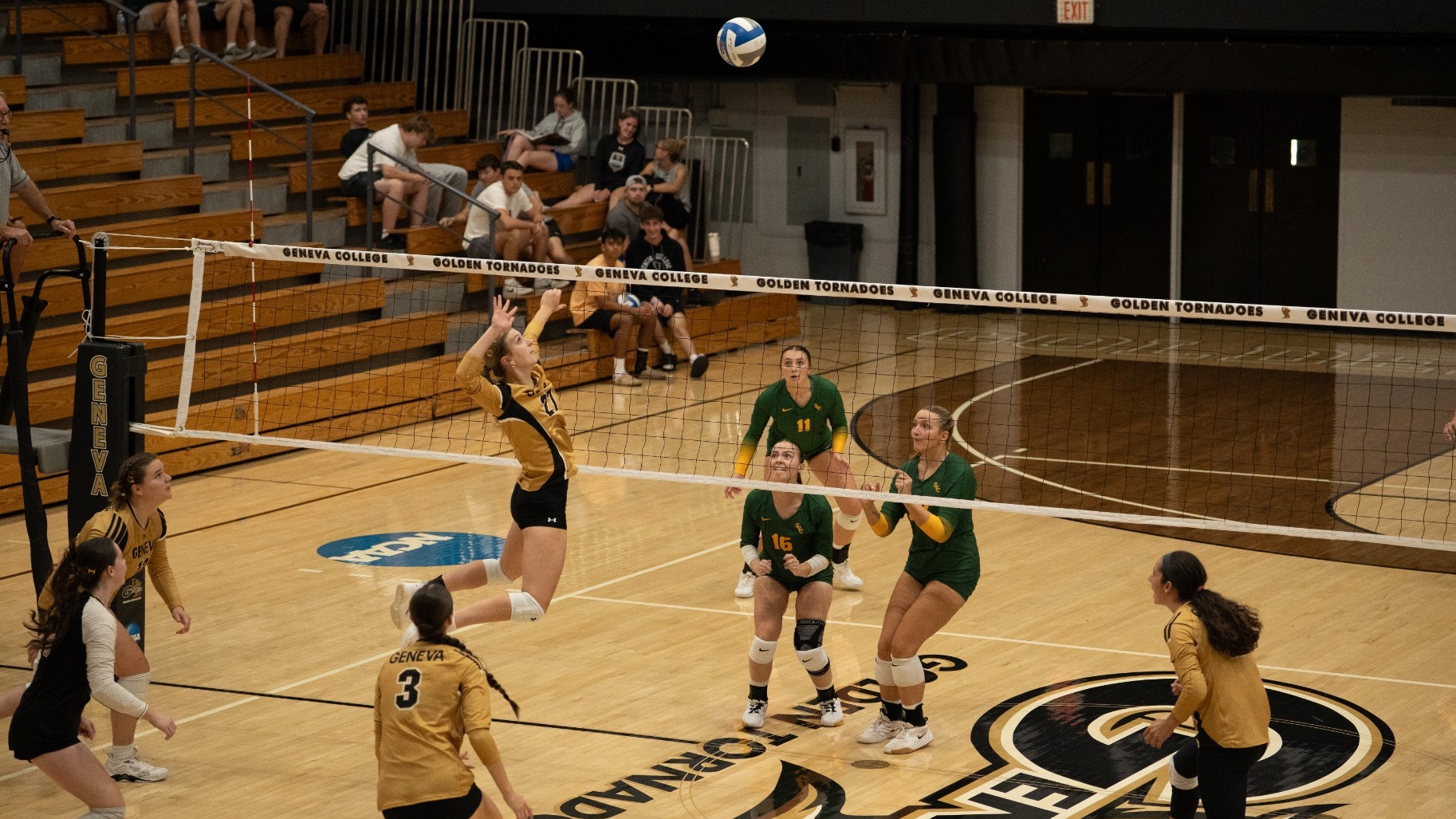 WVB