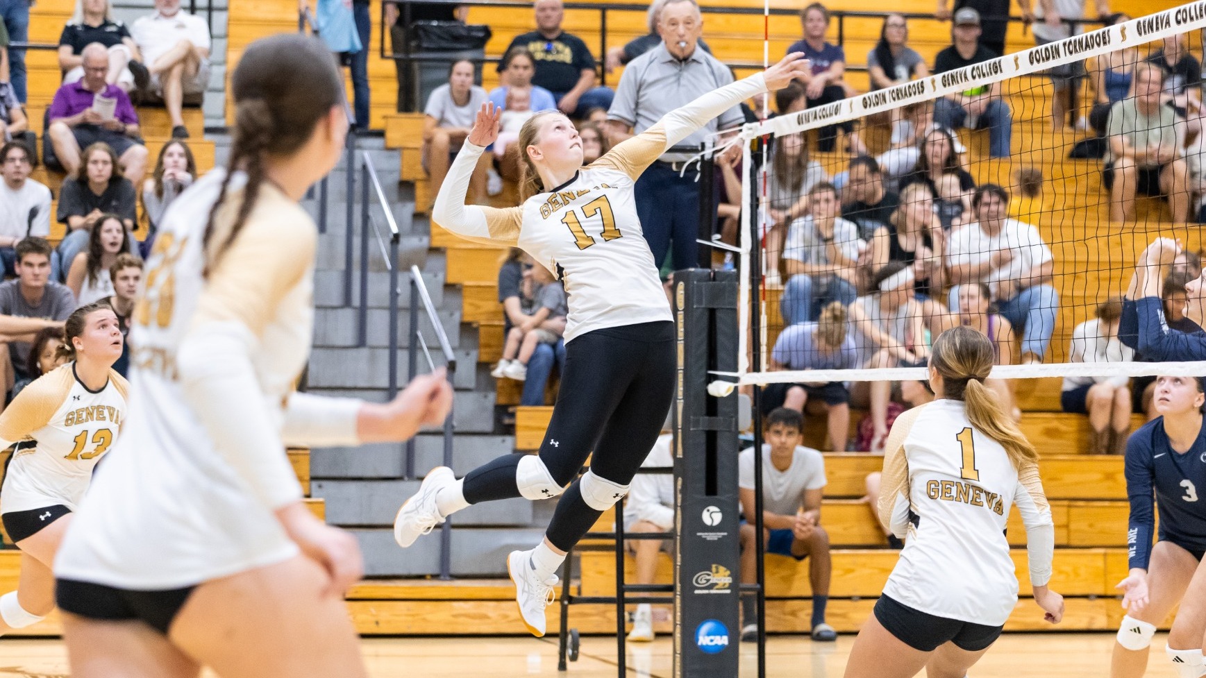 WVB