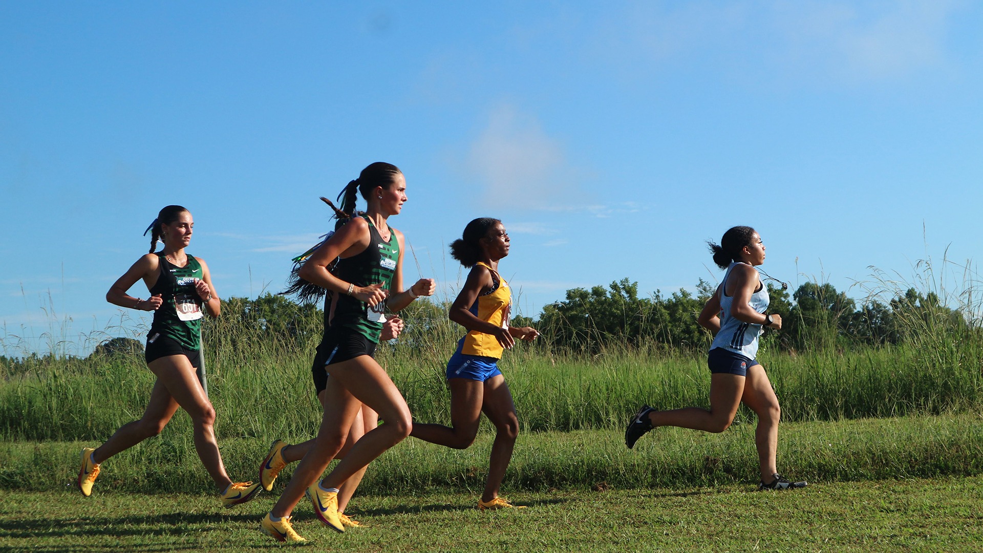 Women's Cross Country runners compete
