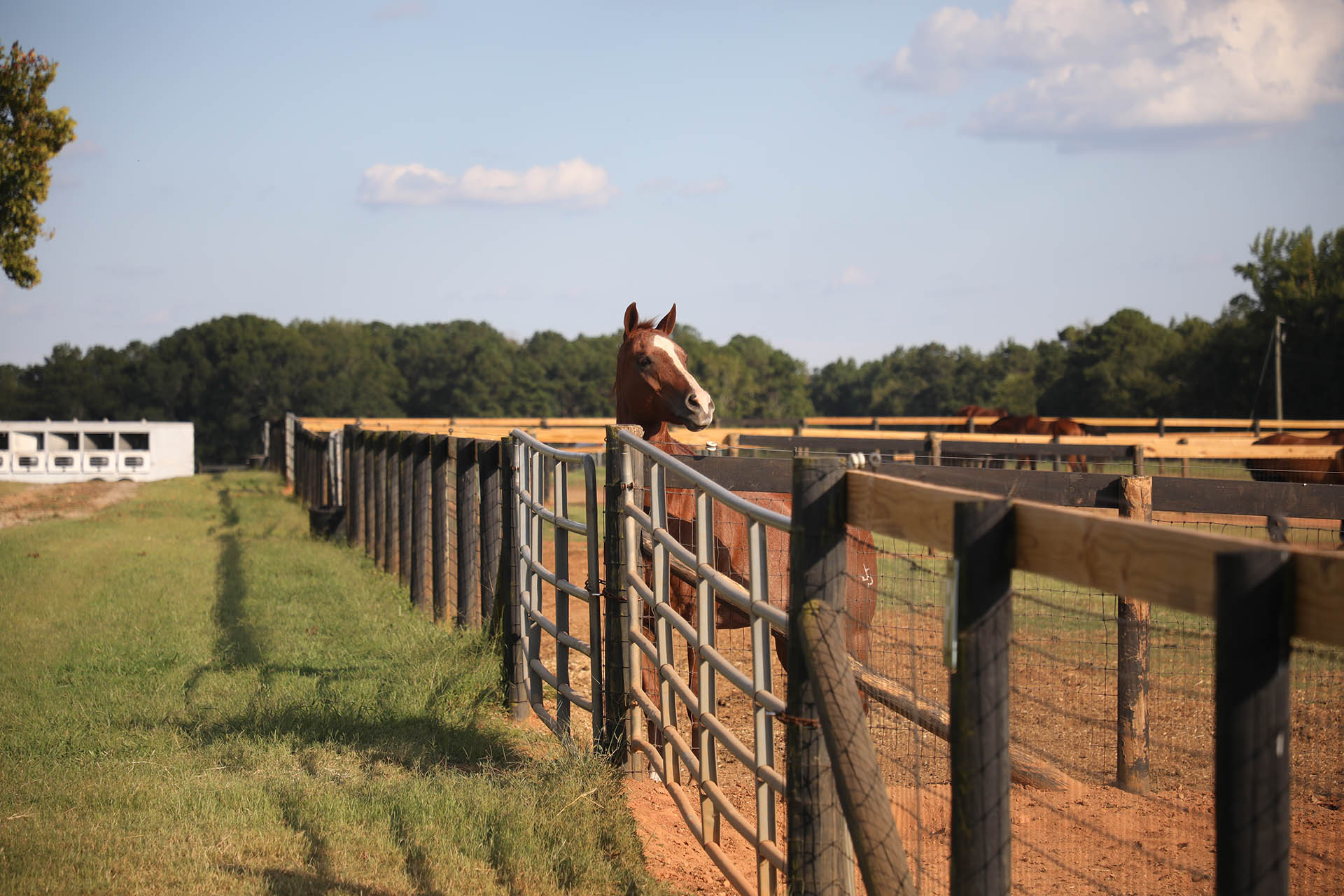 UGA Equestrian Complex