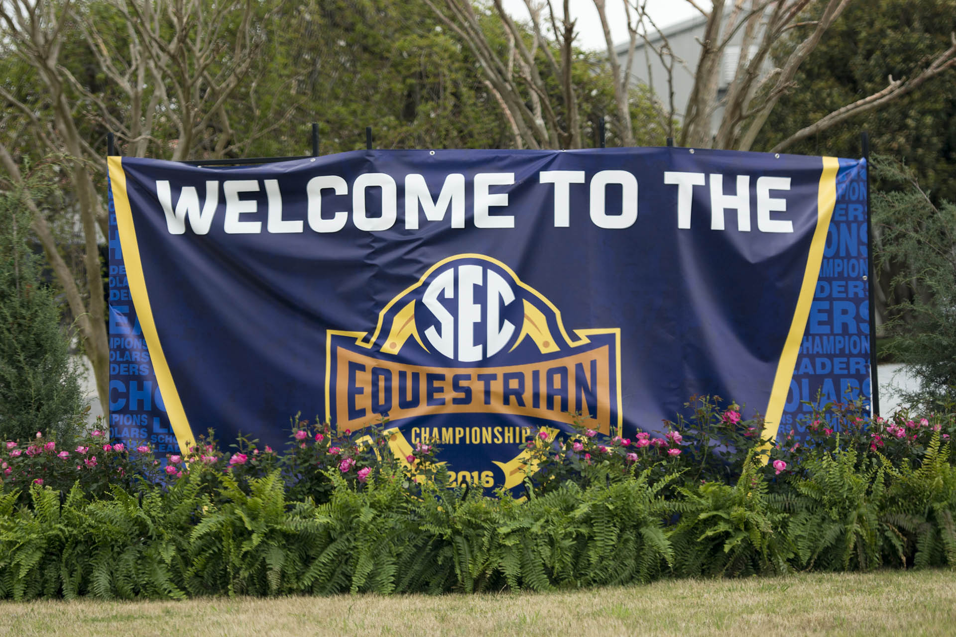 UGA Equestrian Complex