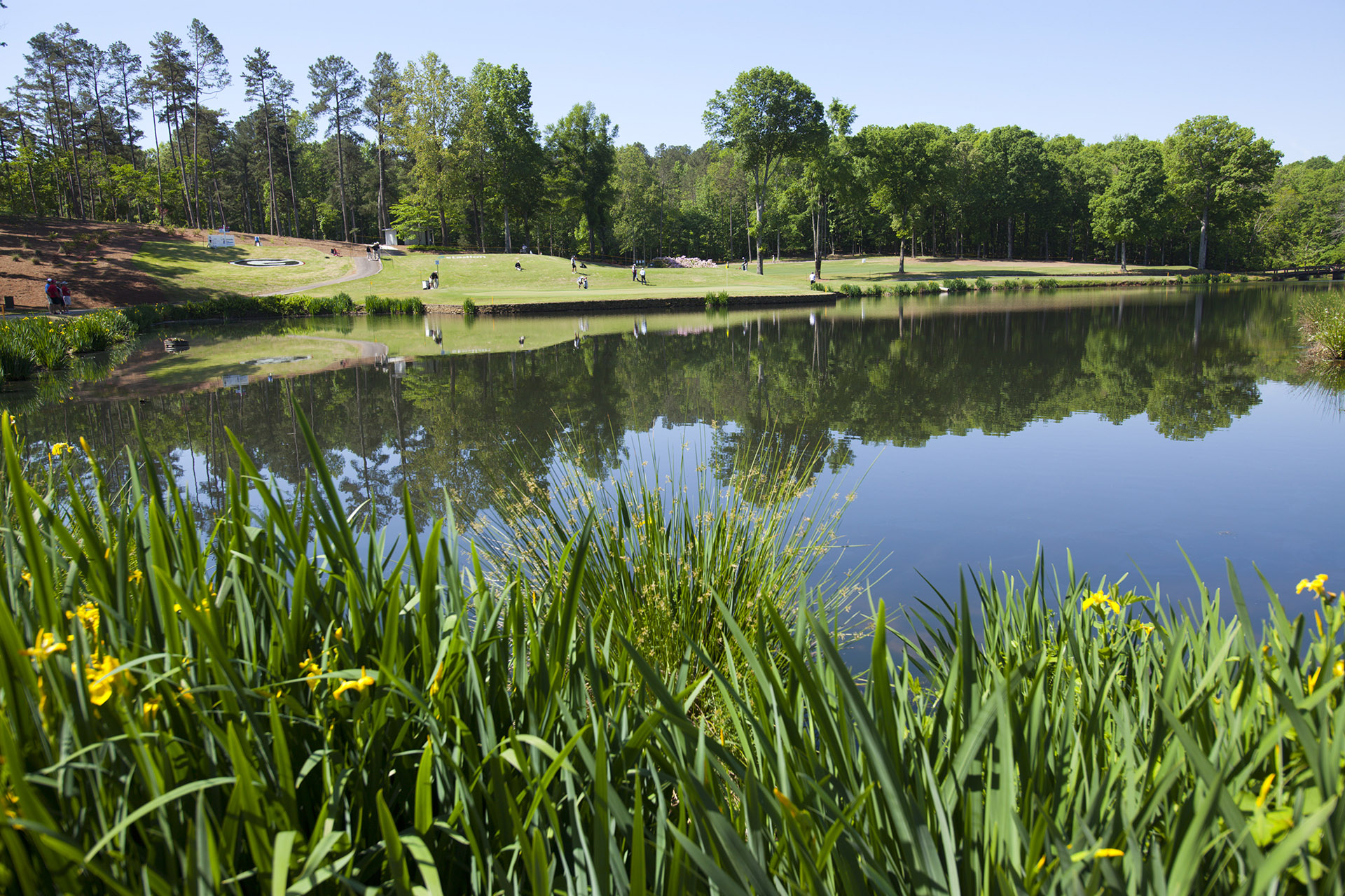 UGA Equestrian Complex
