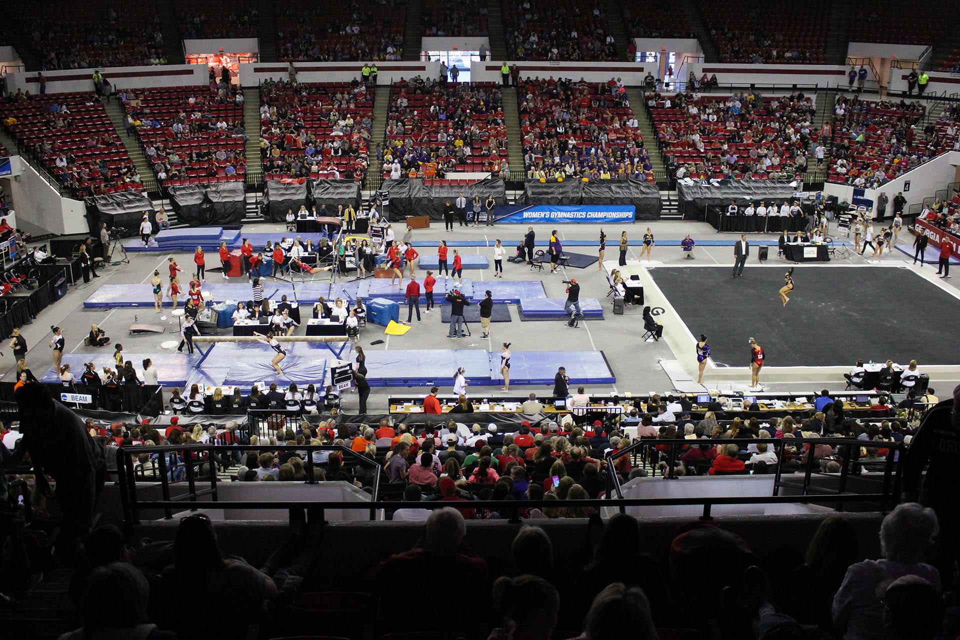 Stegeman Coliseum - Gymnastics