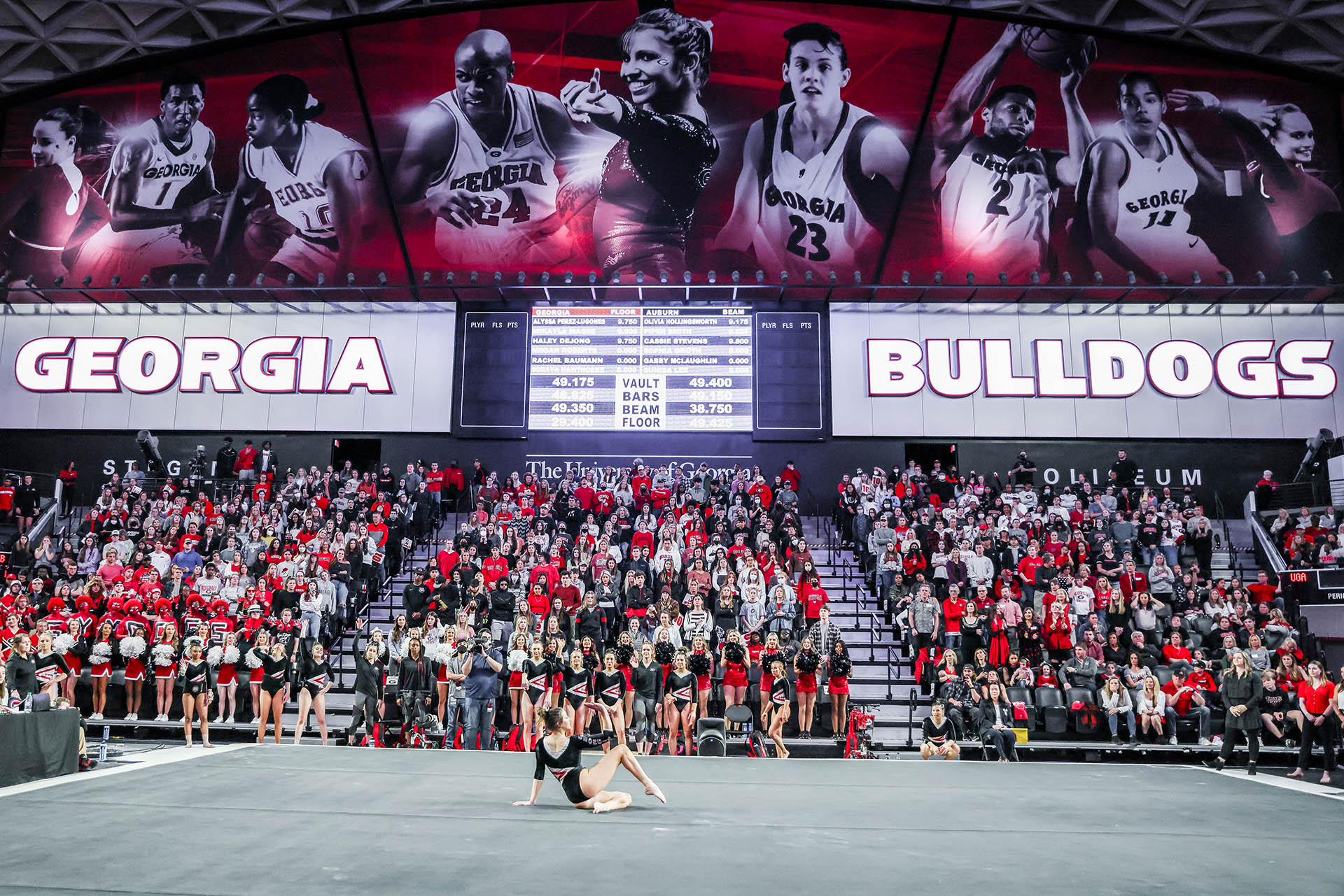Stegeman Coliseum - Gymnastics