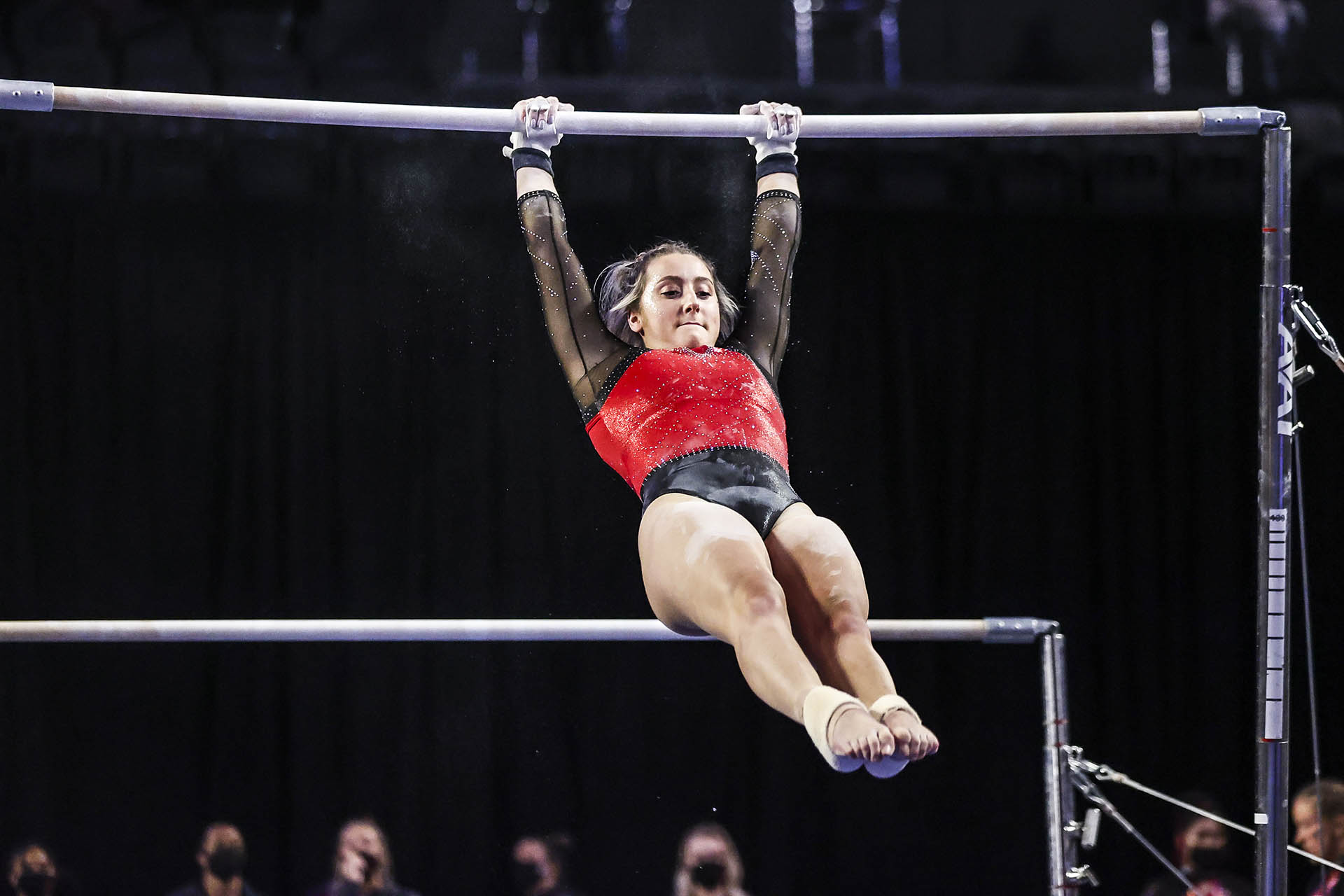 Stegeman Coliseum - Gymnastics