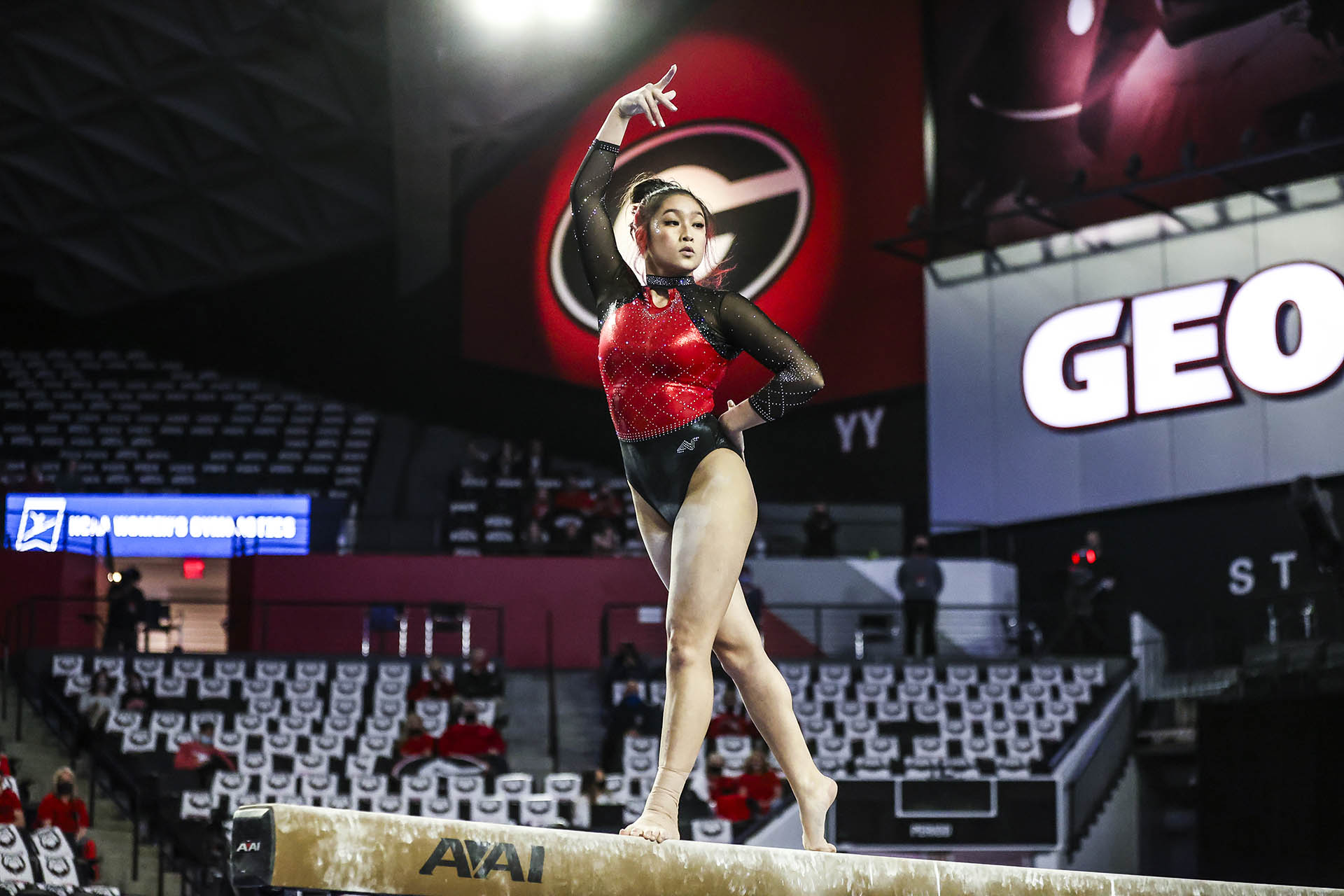 Stegeman Coliseum - Gymnastics