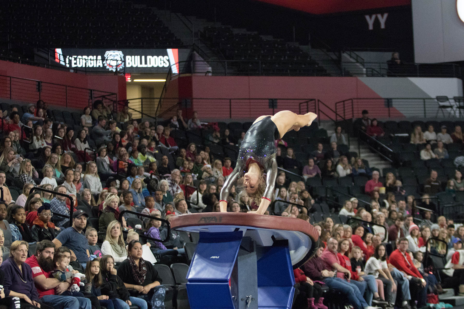 Stegeman Coliseum - Gymnastics