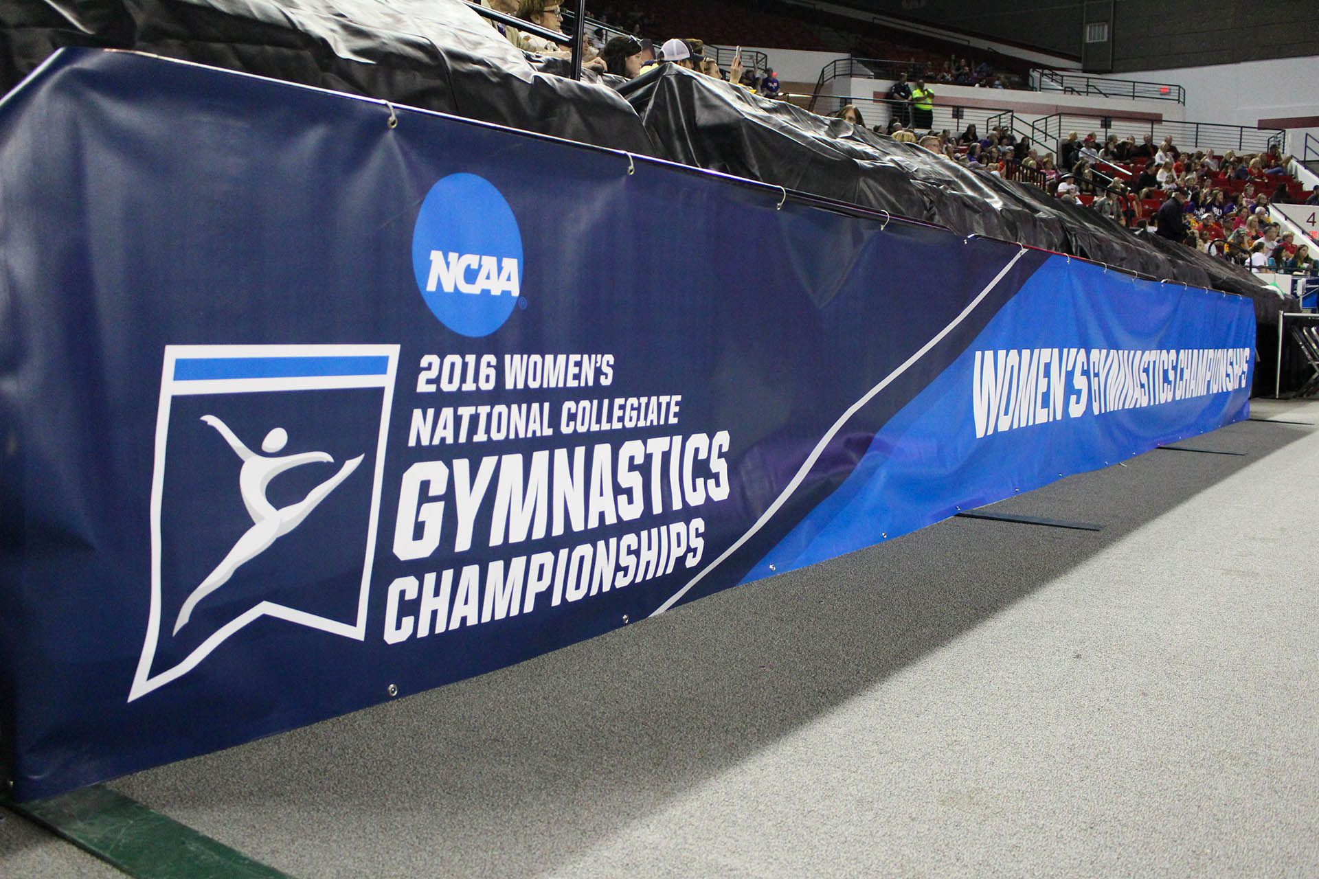Stegeman Coliseum - Gymnastics