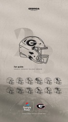Fan Guide