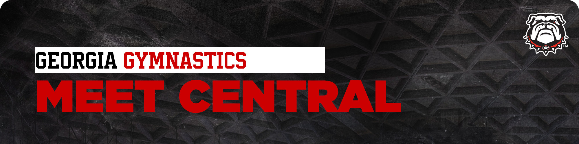 Gymnastics Meet Central Header