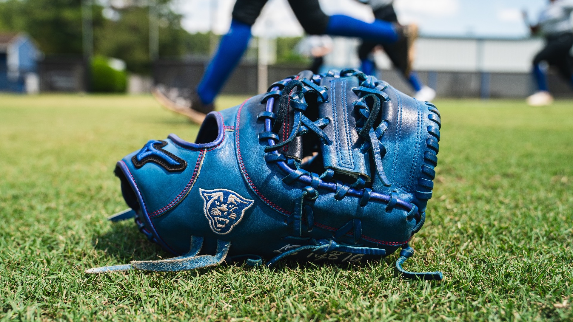 glove in field