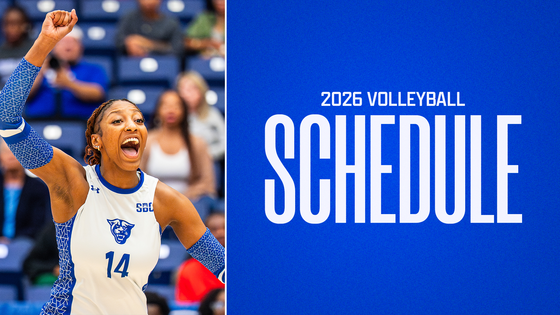 VB Schedule