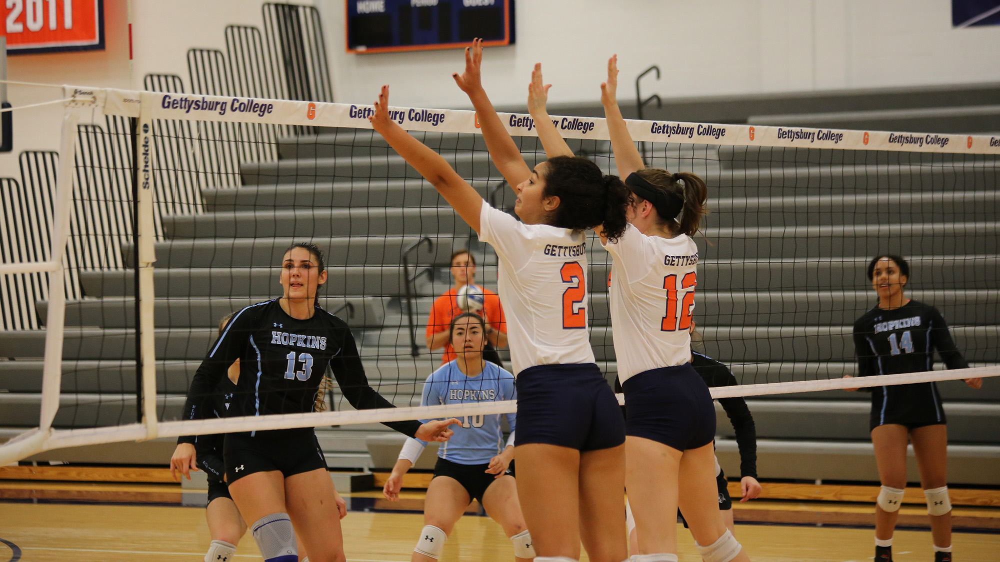 Shannon Fletcher Volleyball Gettysburg College Athletics