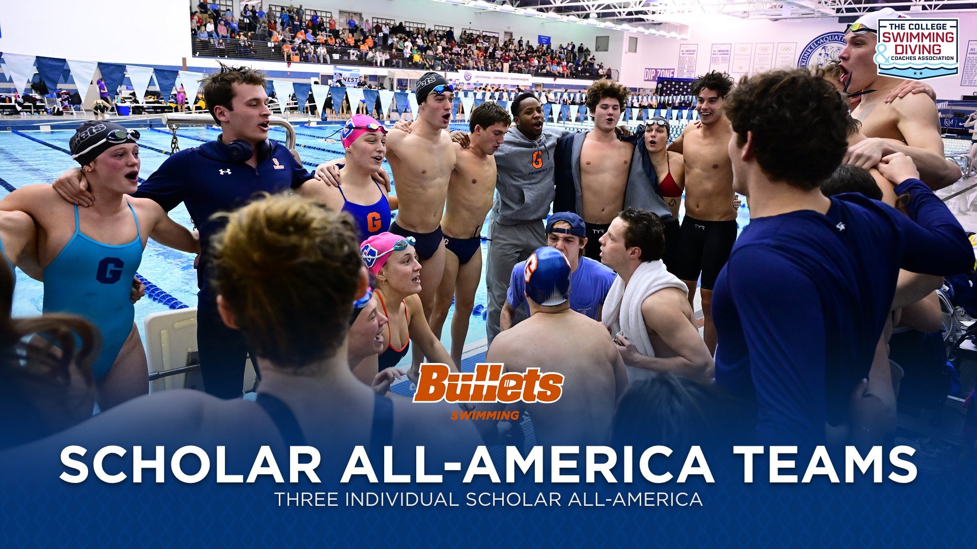 Swimming Scholar All-America Teams
