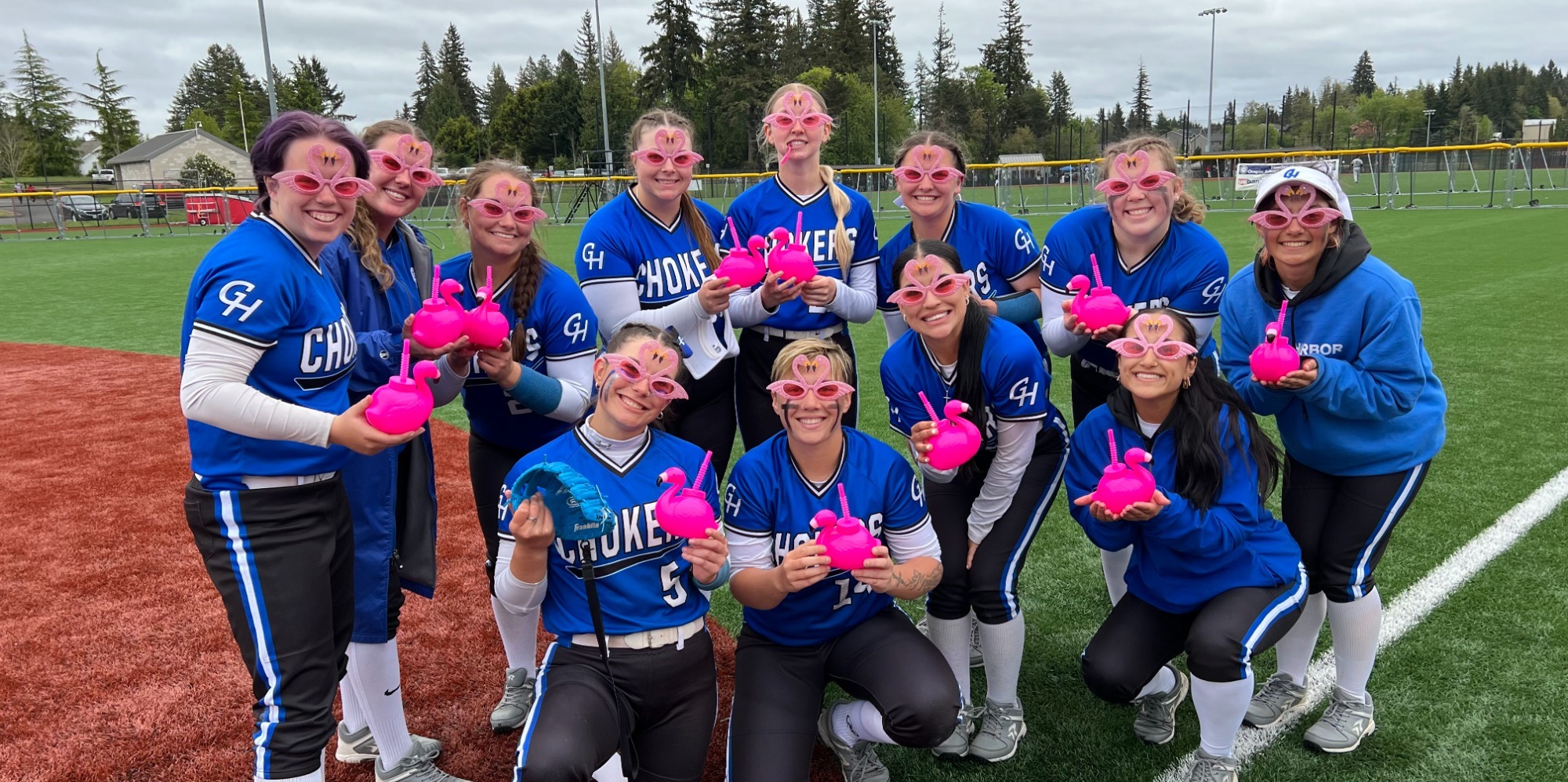 Chokers as Flamingos