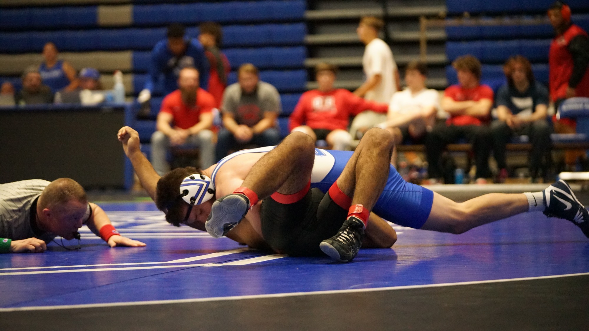 WREST Preview 01.03.2025