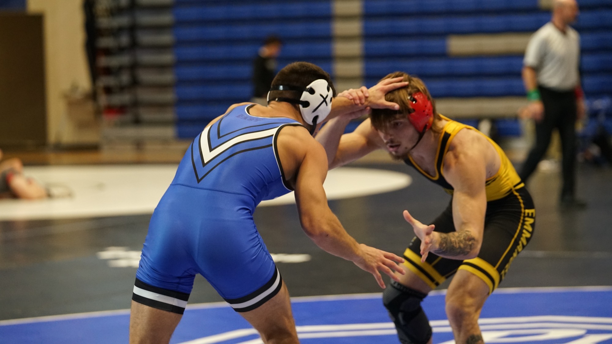 wrest preview 01.08.2025