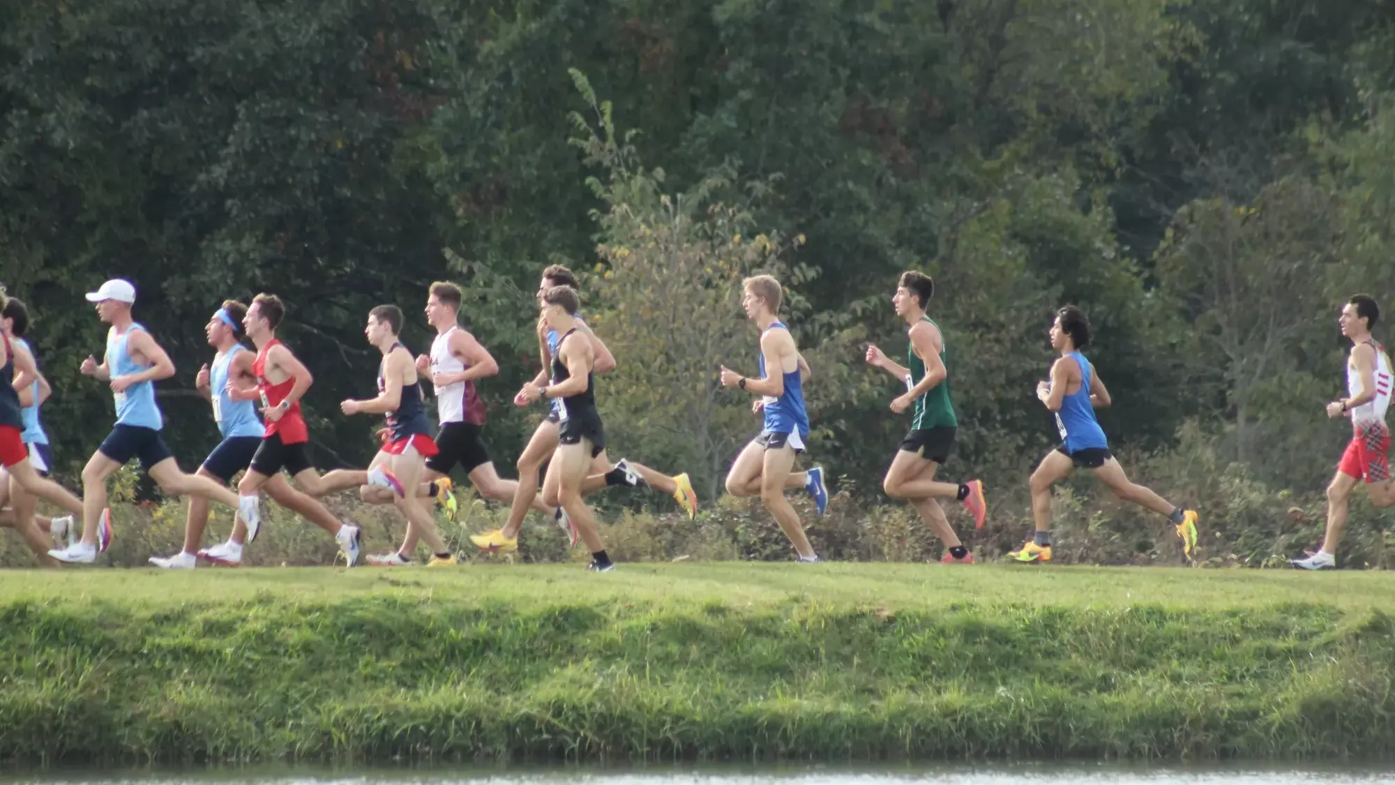 xc