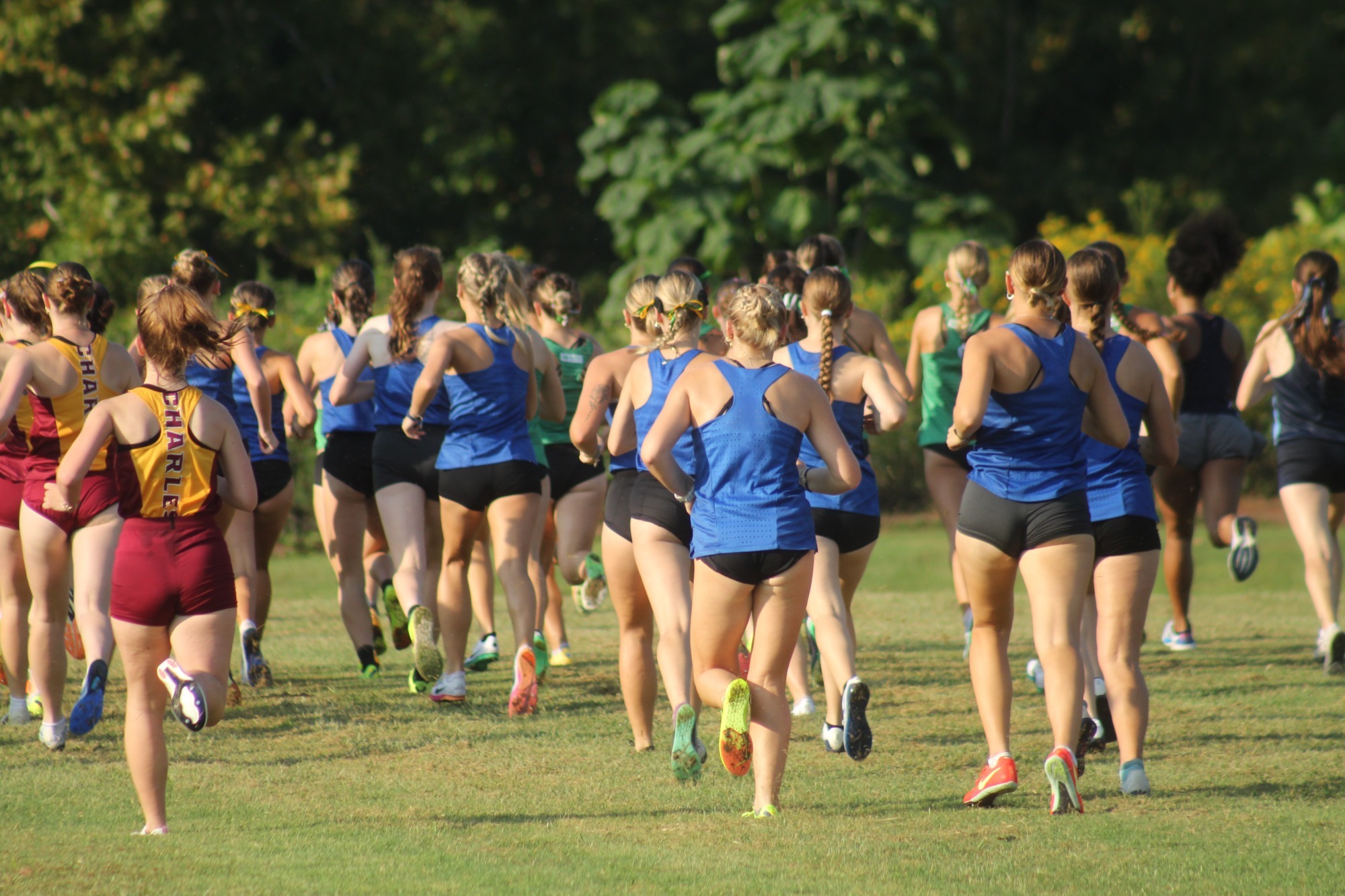 xc