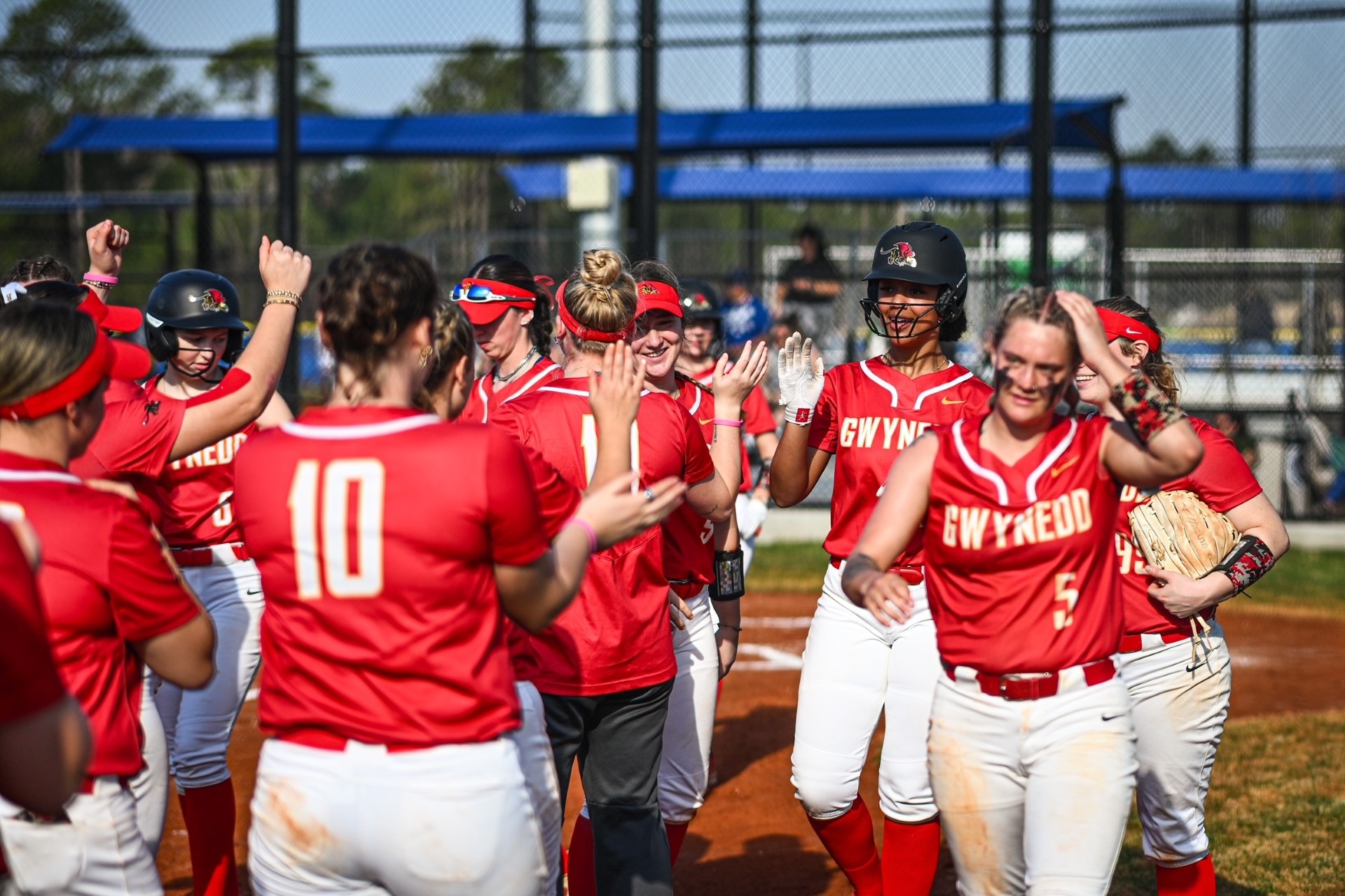 2026 Gwynedd Mercy University Softball