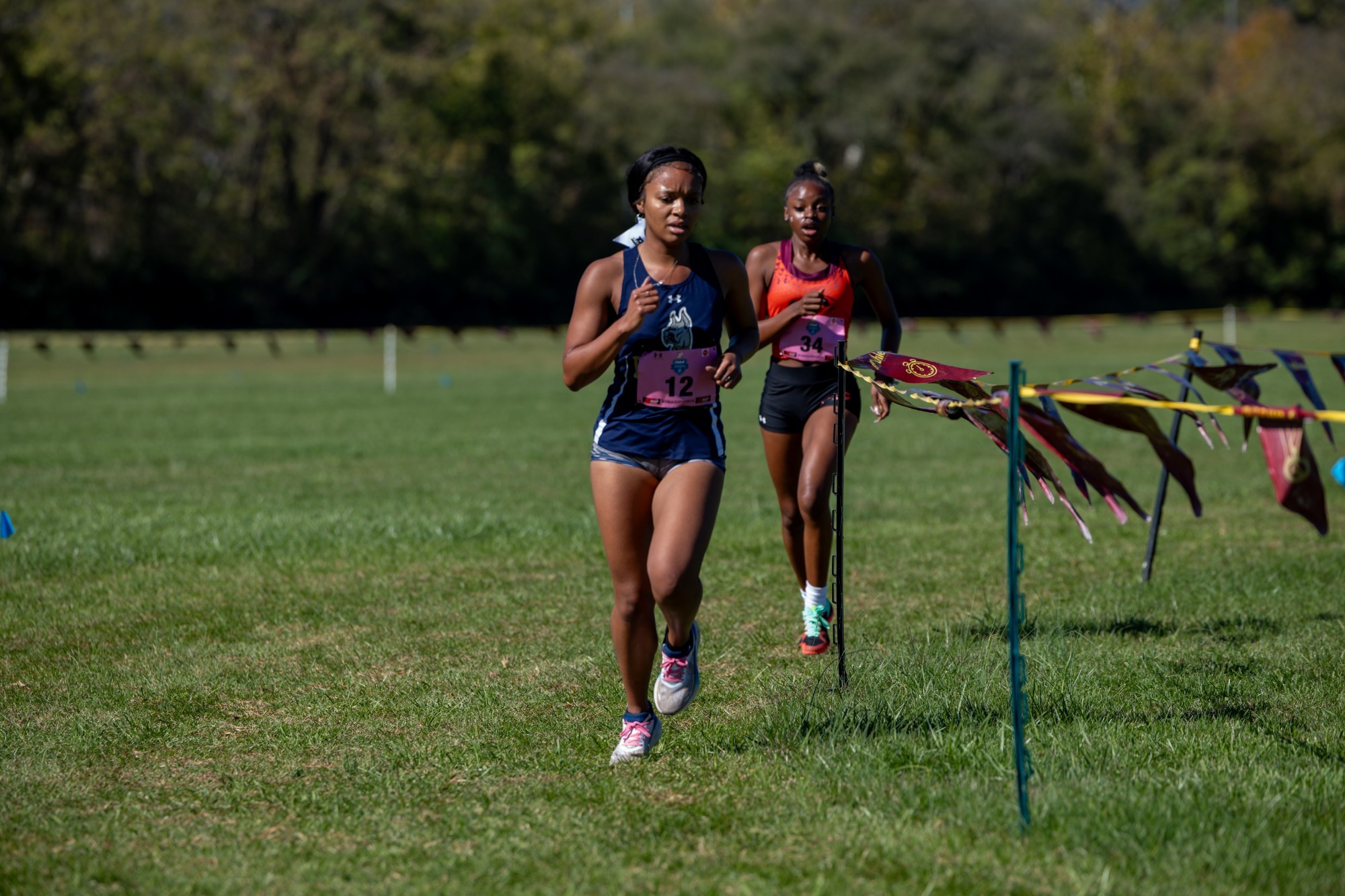 XC